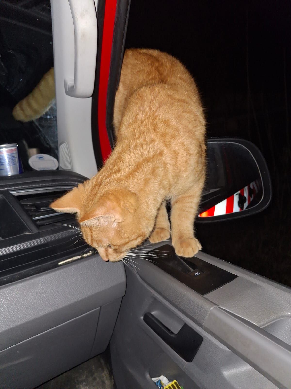 Leo - K 7949, Baienfurt