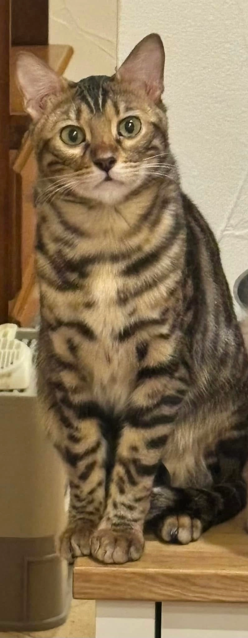 Albert - Hauptstraße, Bann