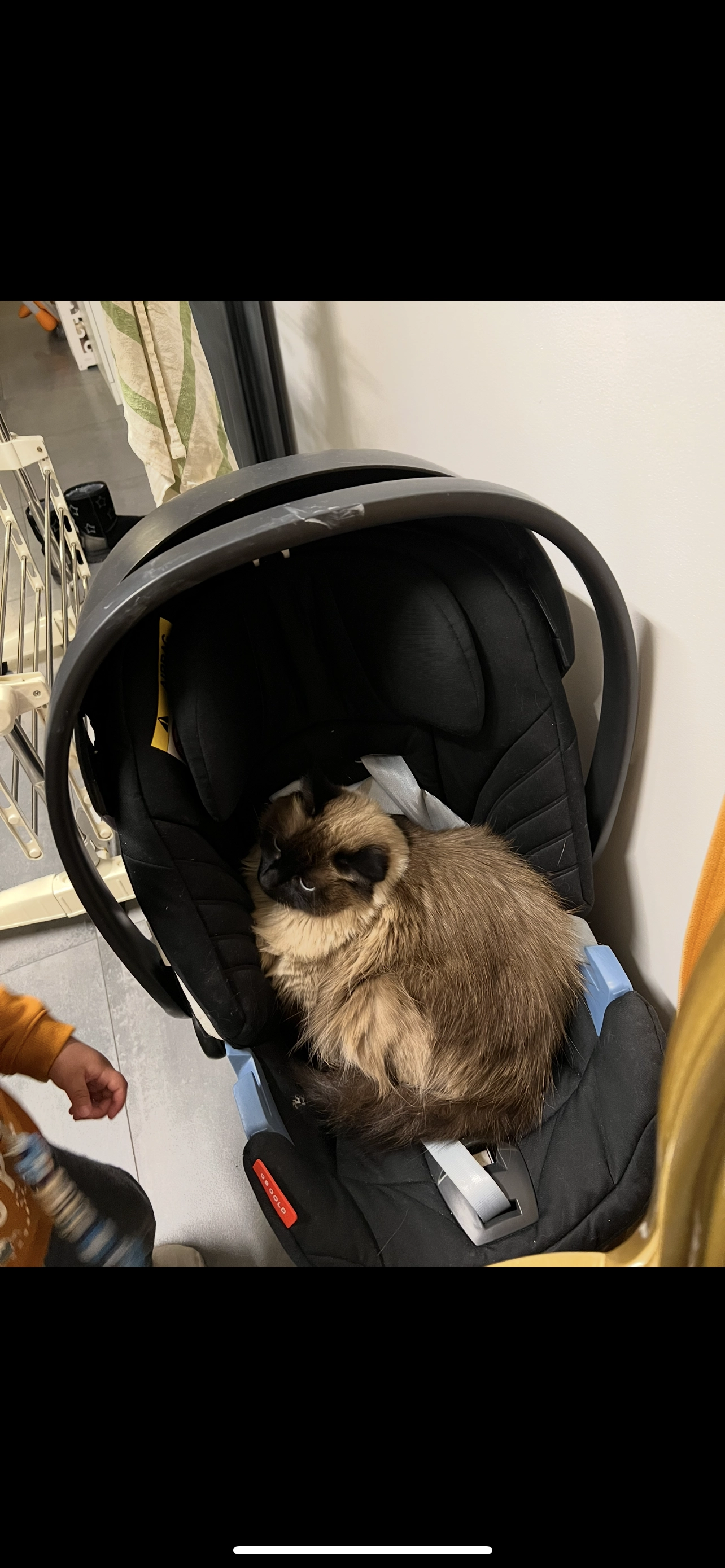 Kali - Rue de la Grésie, Ingré