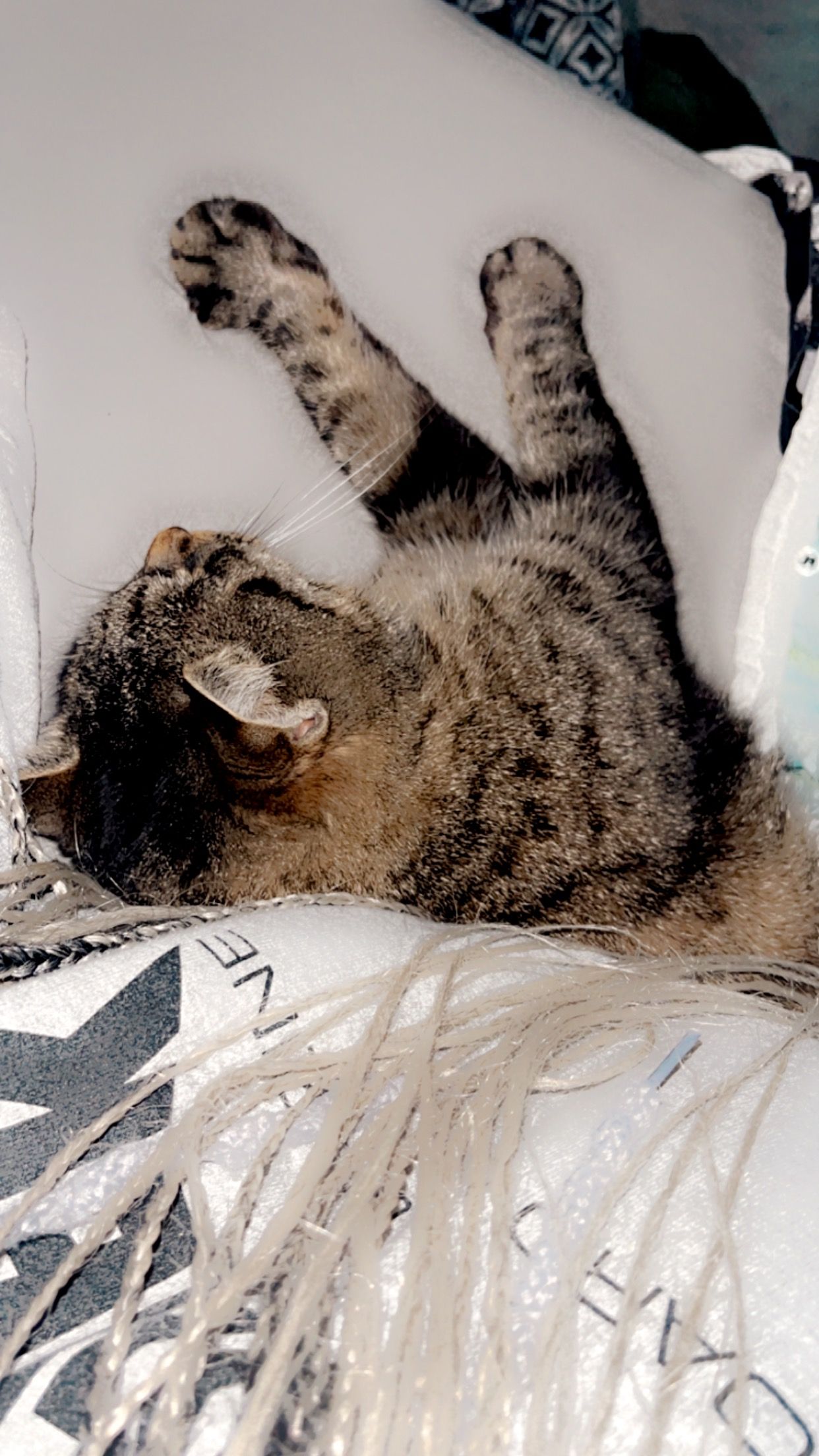 Lena - Klostergasse, Zams