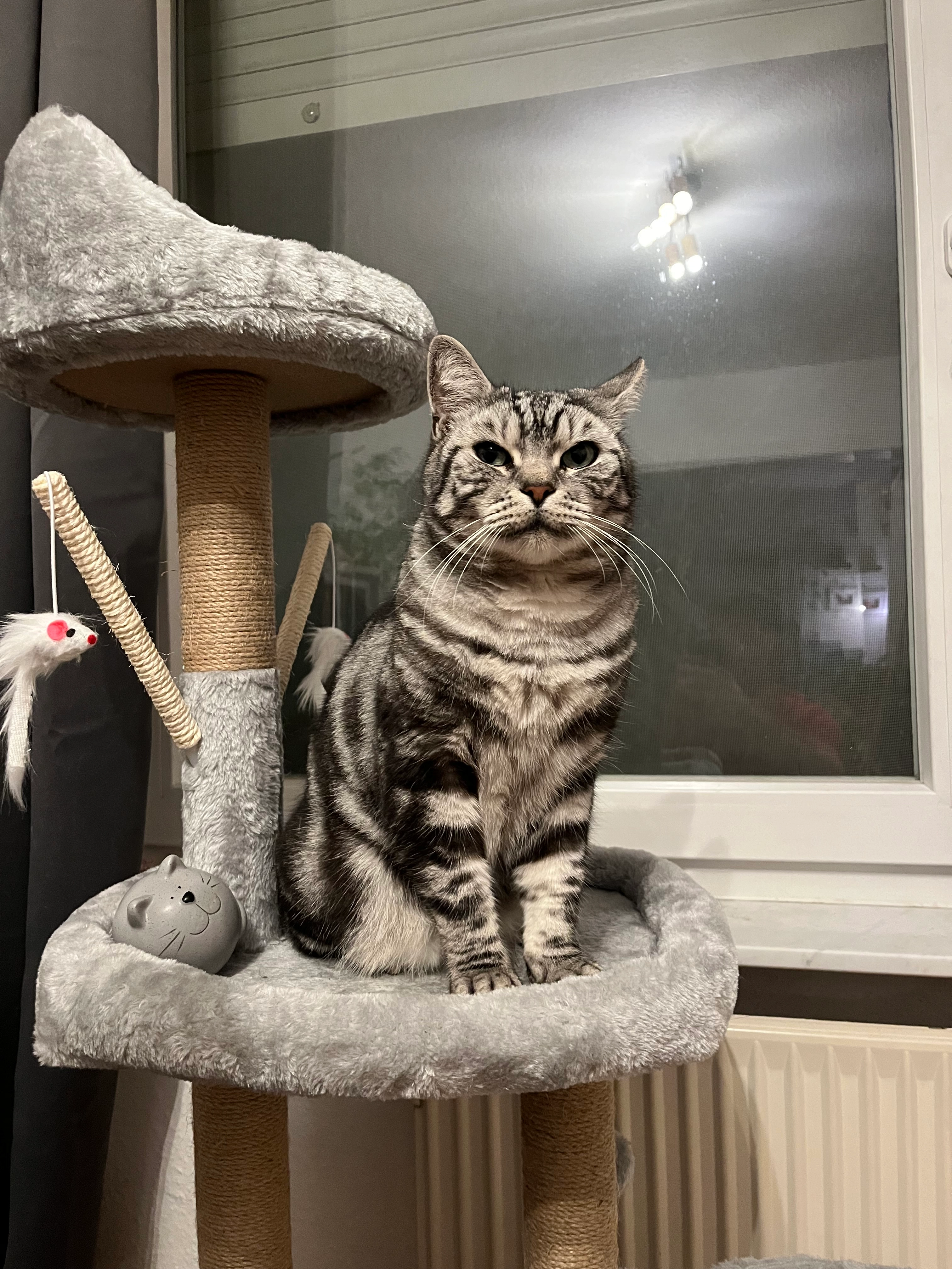 Rio - Zum Rodderbruch, Brühl