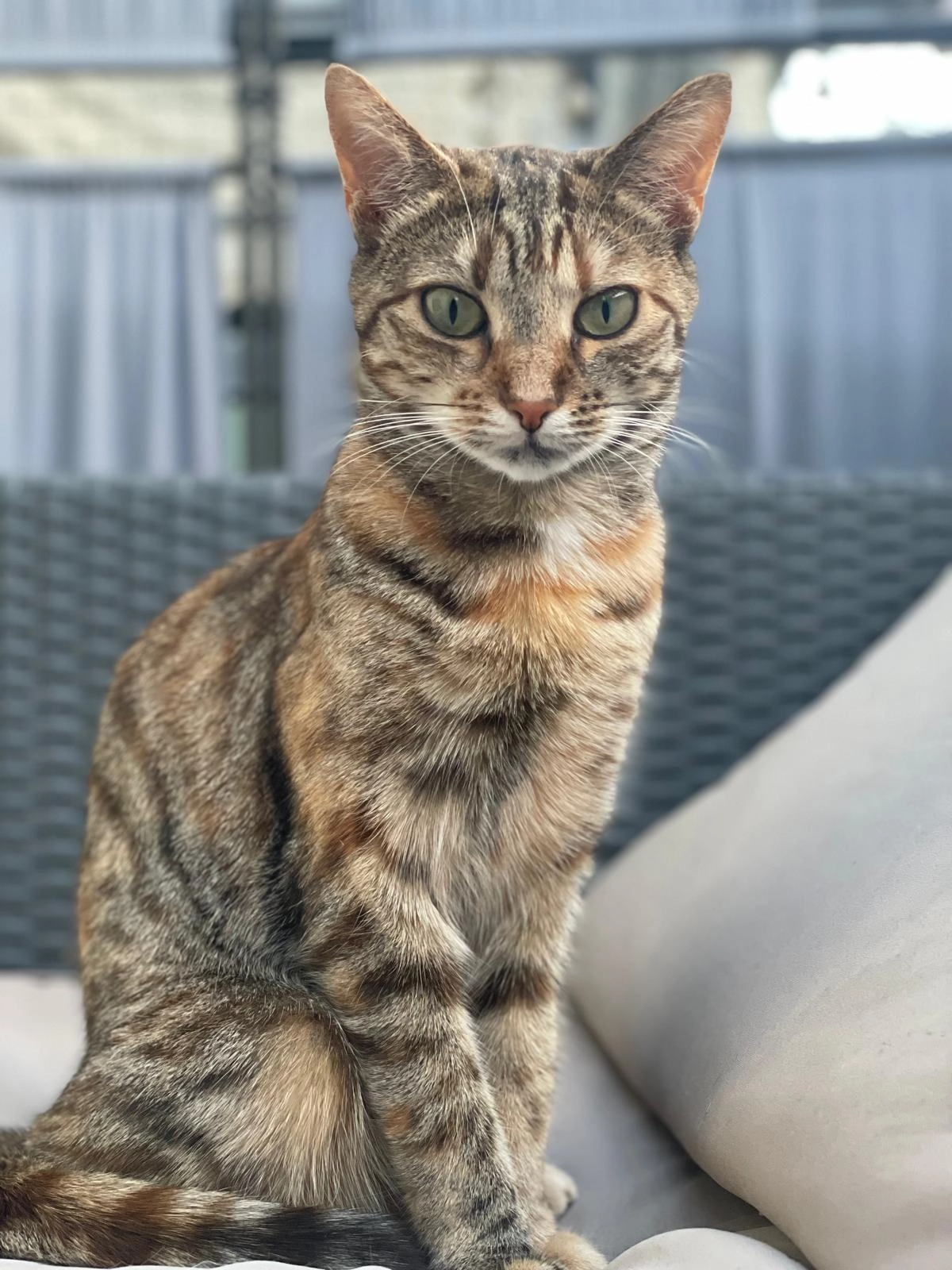 Hima - Hofänger, Unterdießen