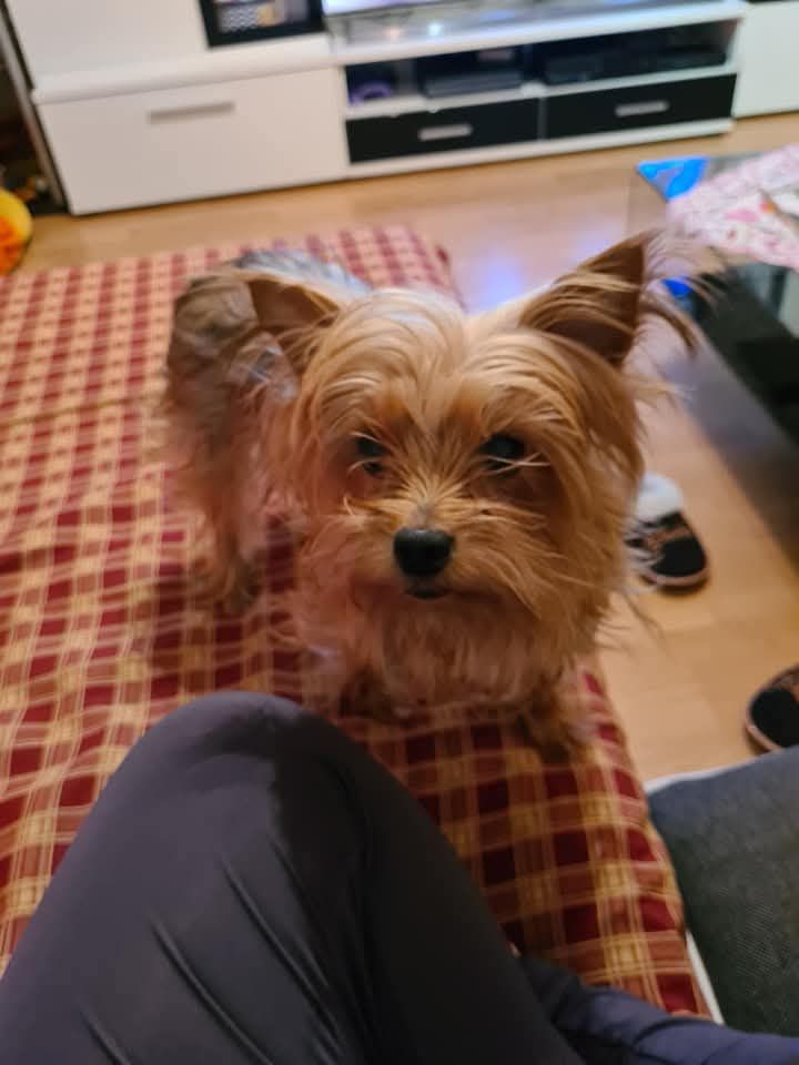 Nina - Schmidenmattweg, Langenthal