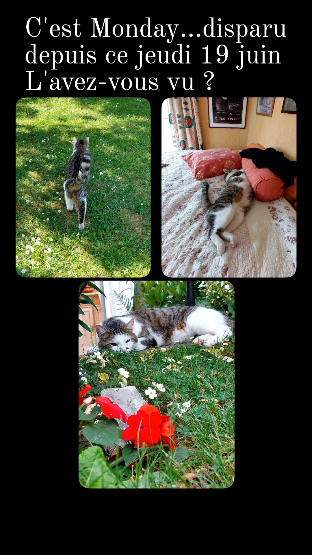 Monday  - Rue Haut du Village 40, Philippeville