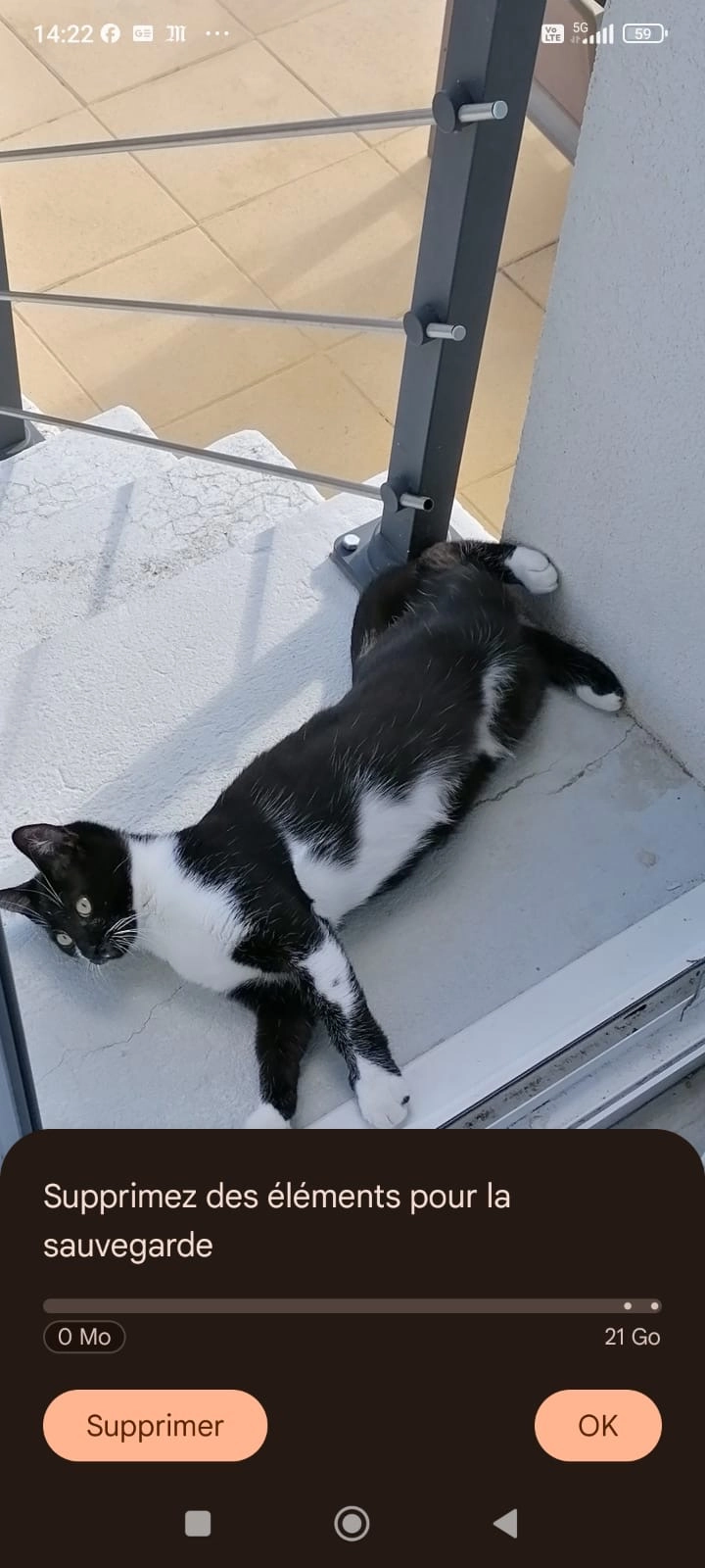 Nilo  - 8 Impasse des Acacias, Vertaizon