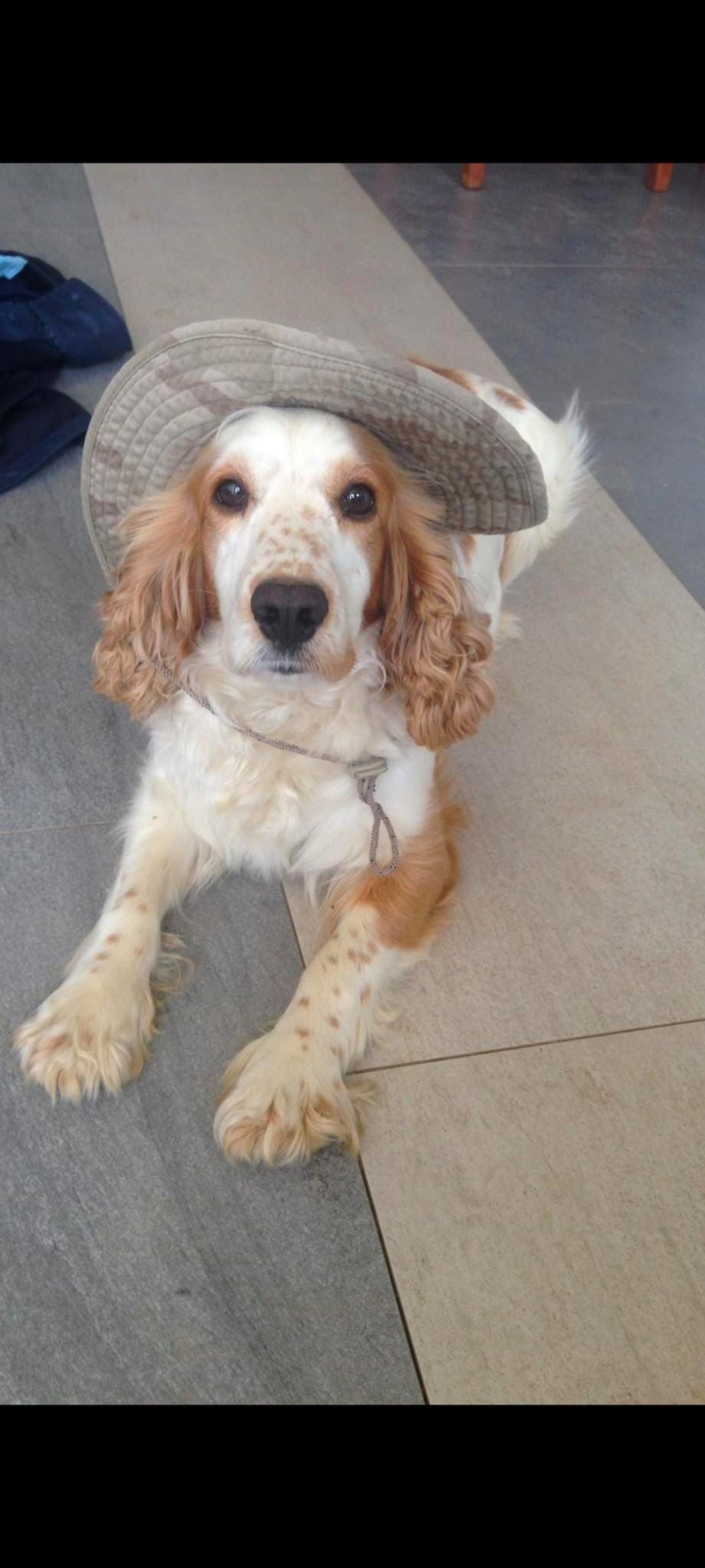 Maya - PE15 0, March