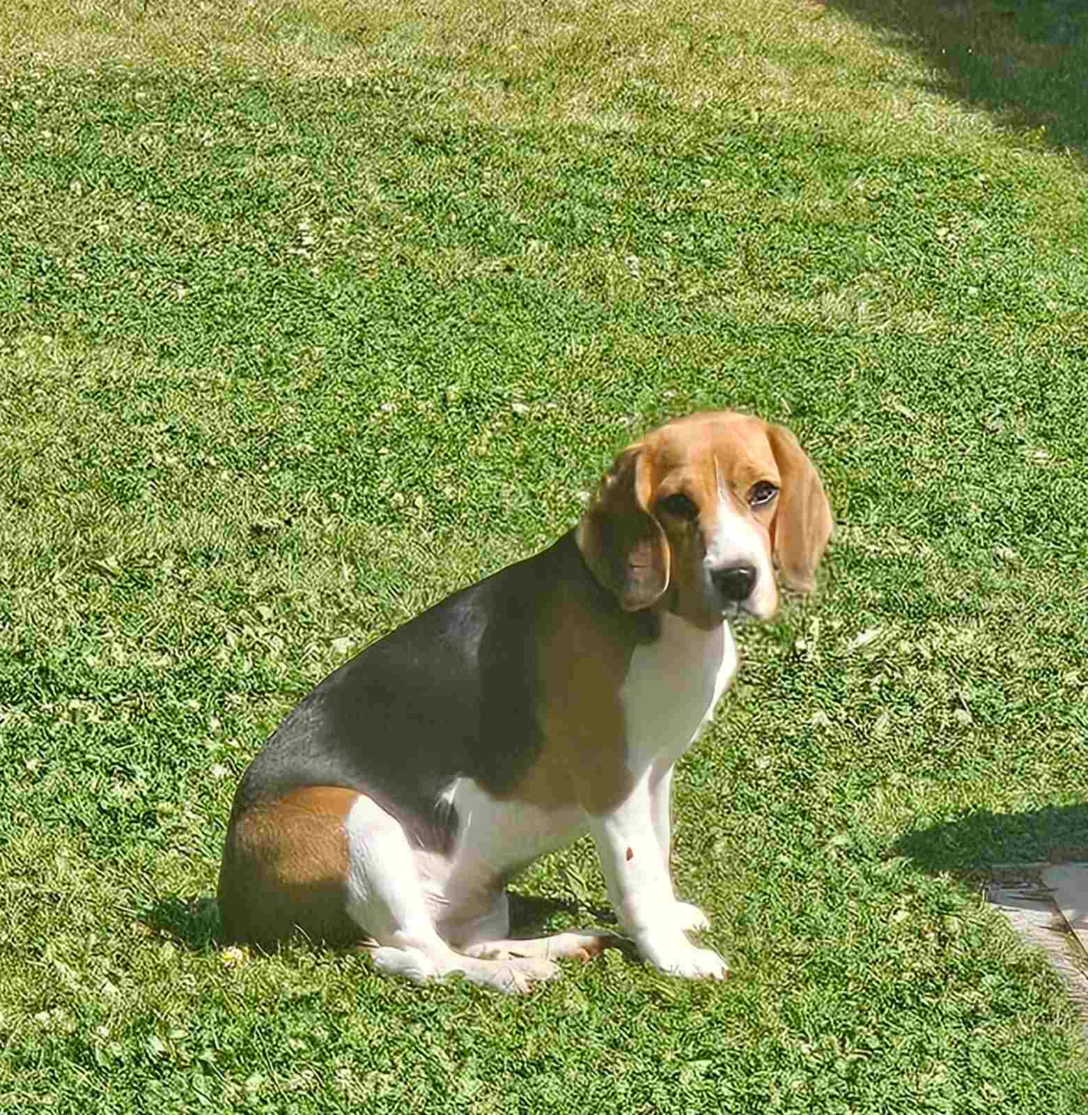 Avi - Jan Baptist De Keyzerstraat 190, Wezembeek-Oppem