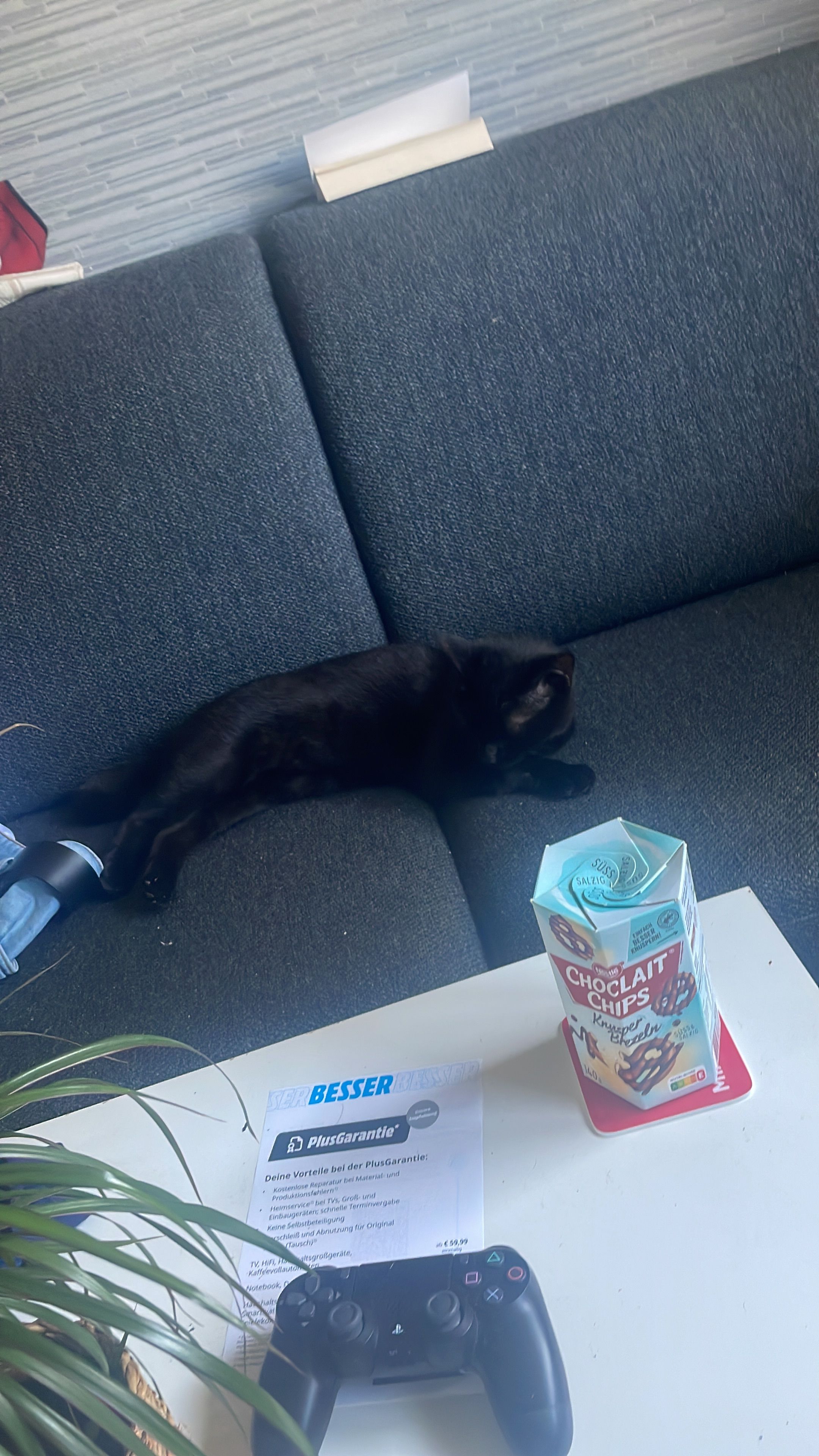 Kuro  - Ysenburger Straße, Ortenberg