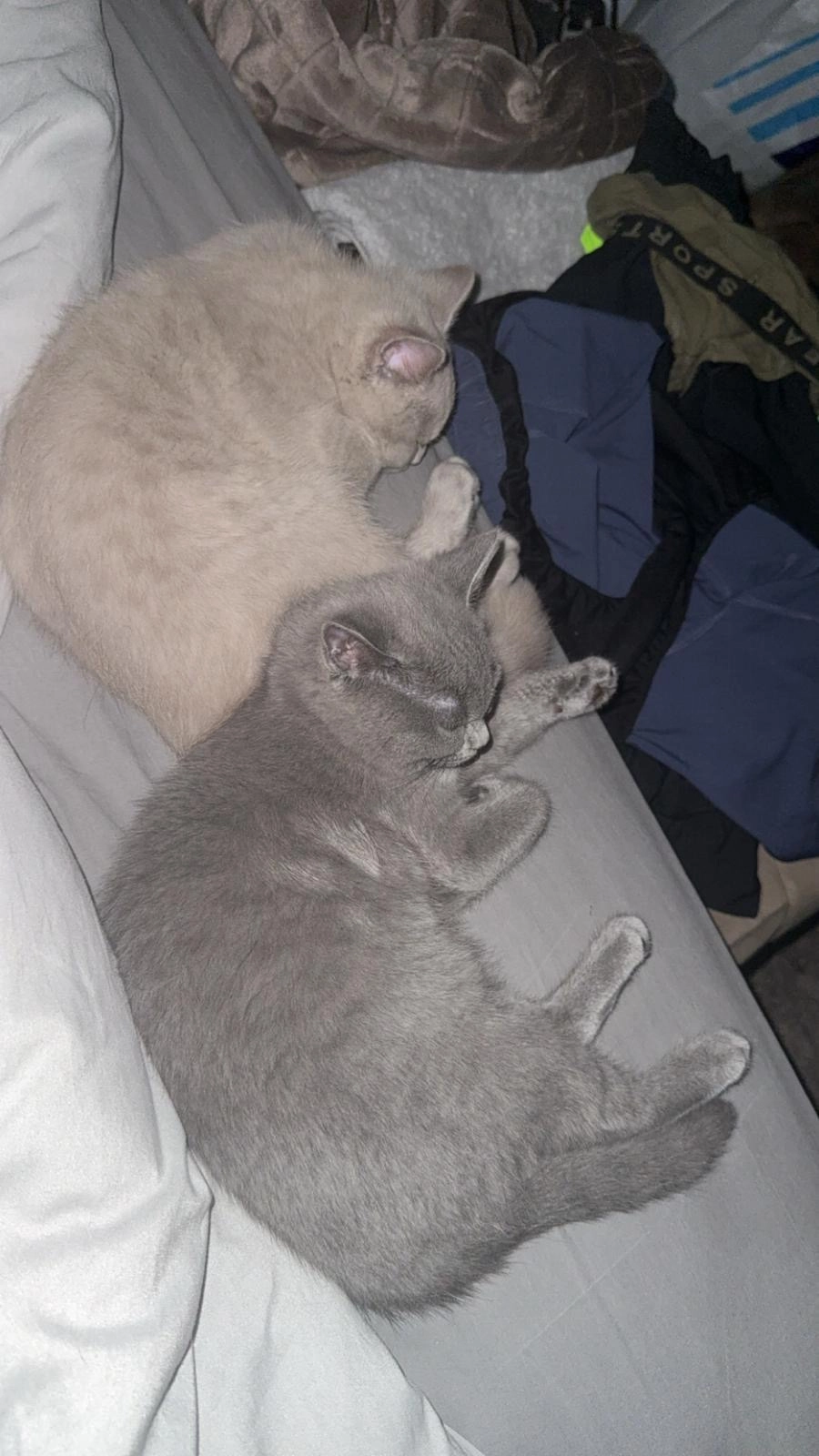 Bonnie  - Kerkstraat , Hapert