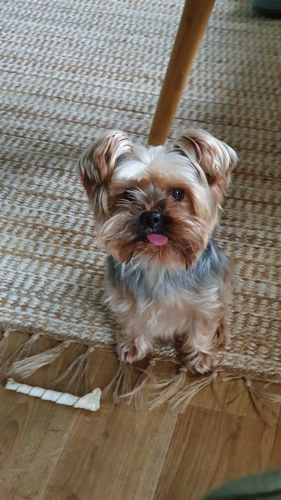 Olaf - Marriott Road, London