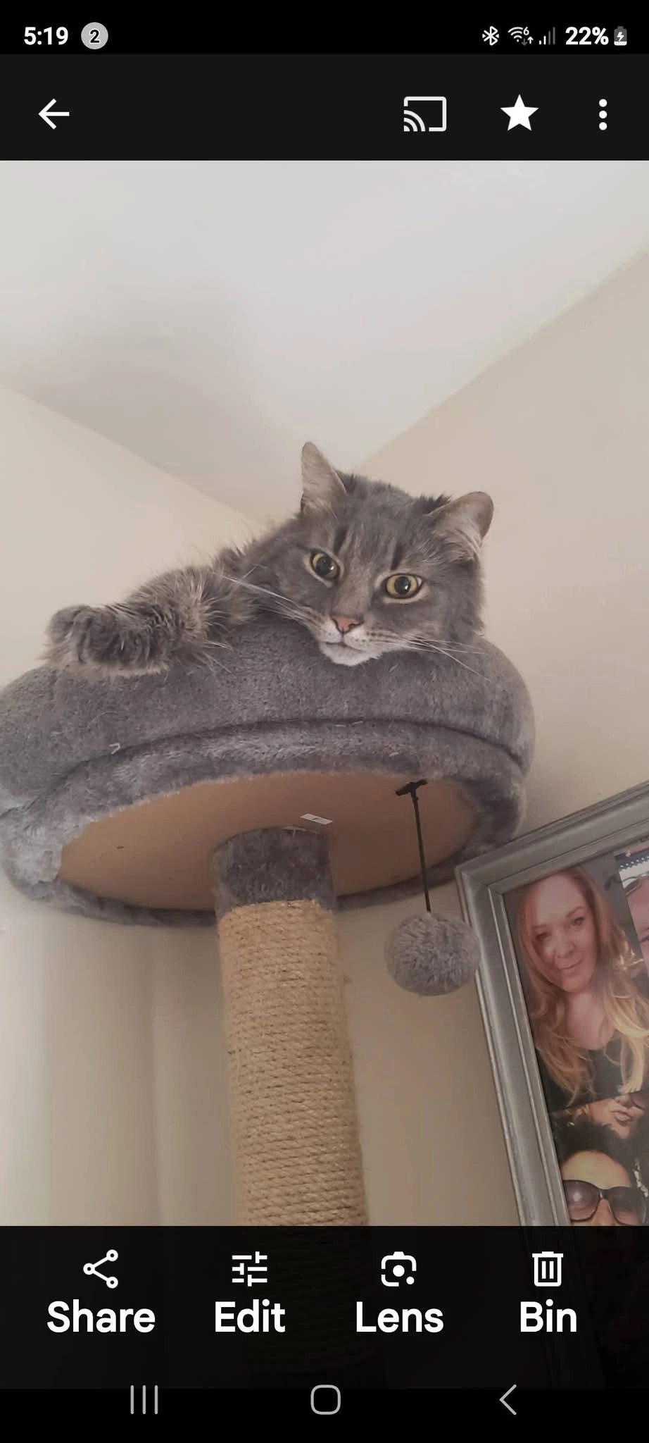 Lupé - Blackthorn Gardens, Weston-super-Mare