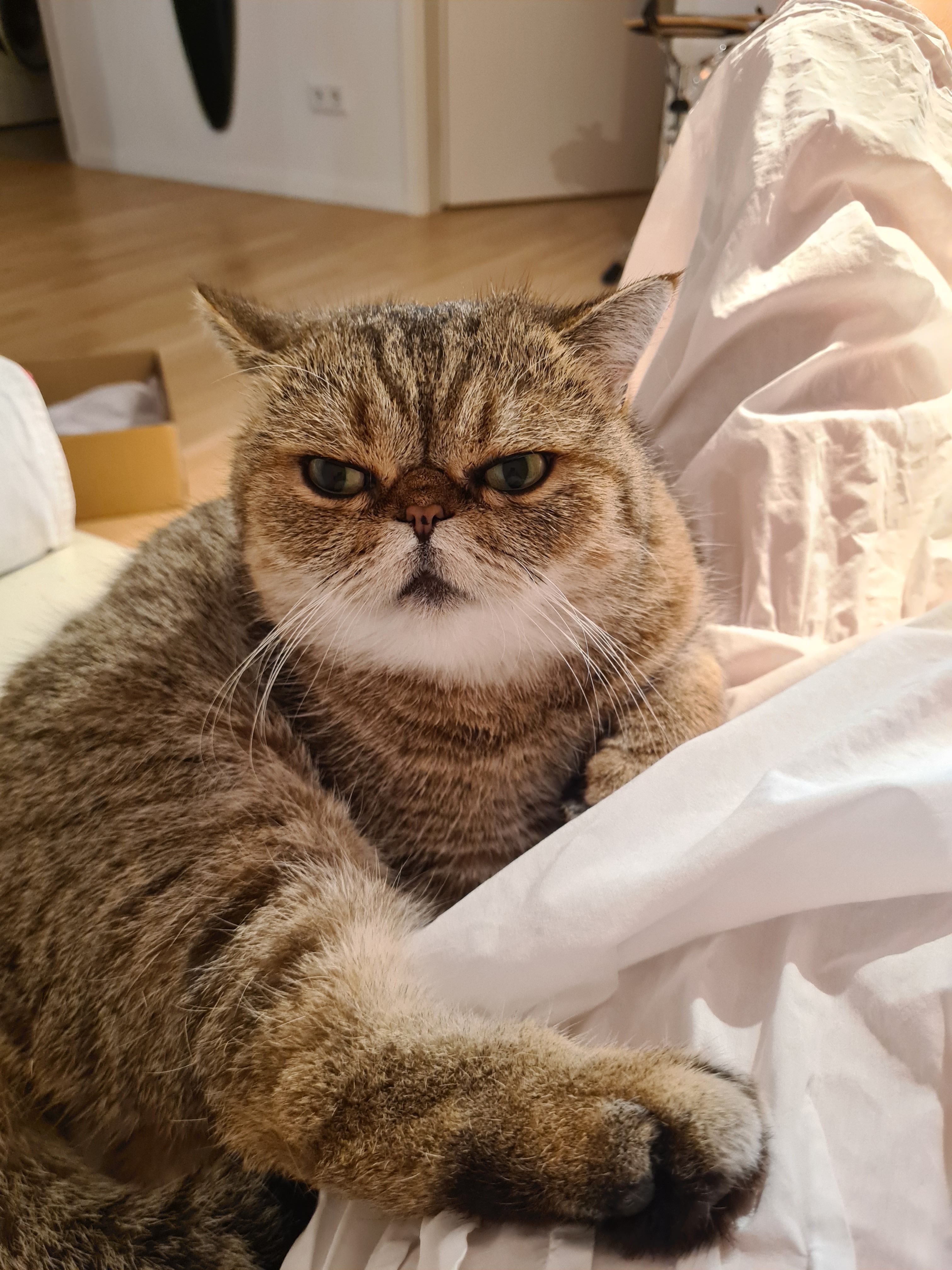 Phillip - Via Di Vigna Due Torri, Rom