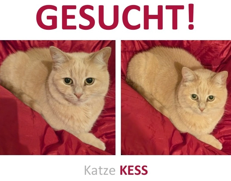 Kess - Kurfürstenstraße, Krefeld