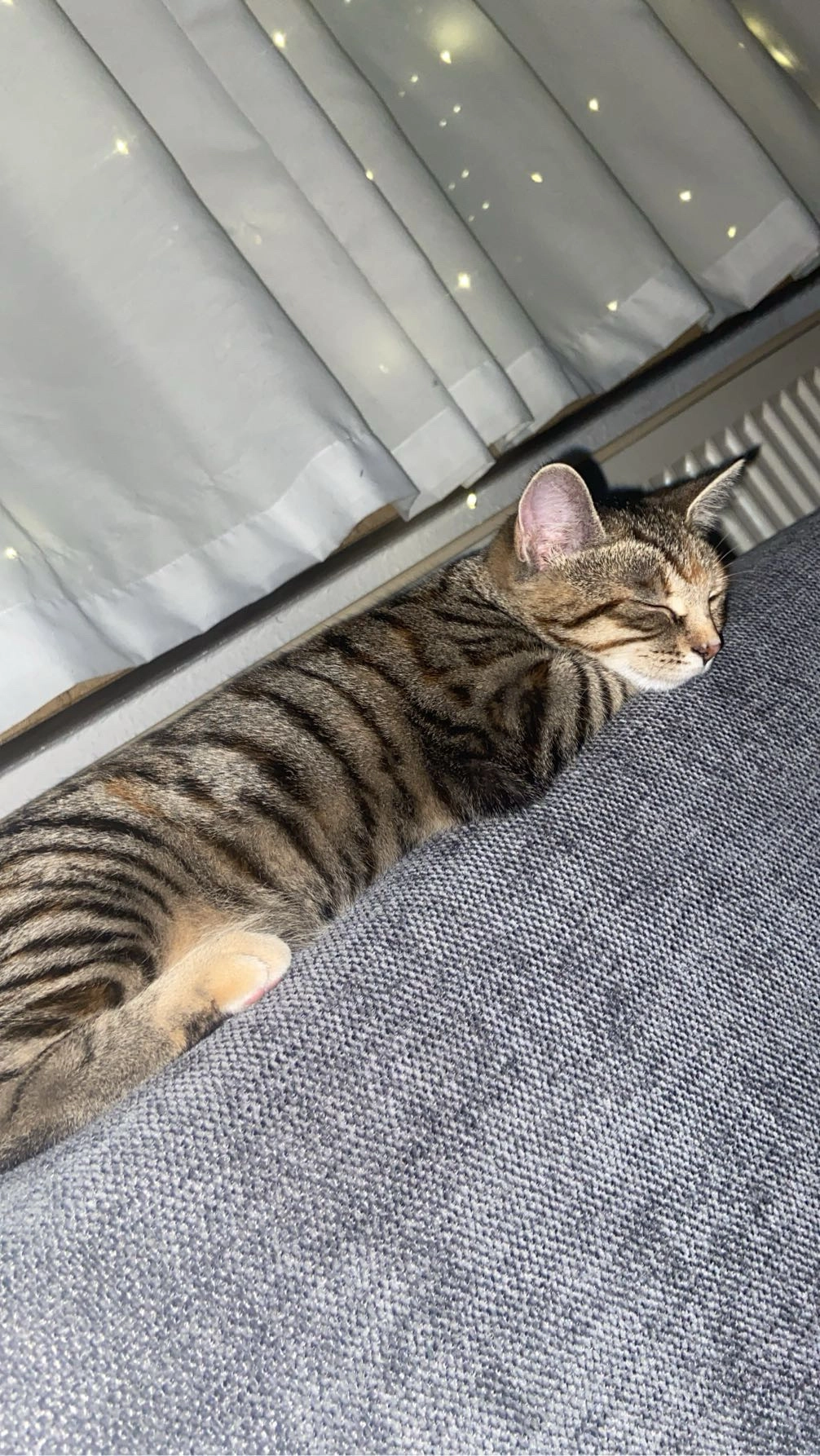 Bomschi - Kirschenrain, Gäufelden