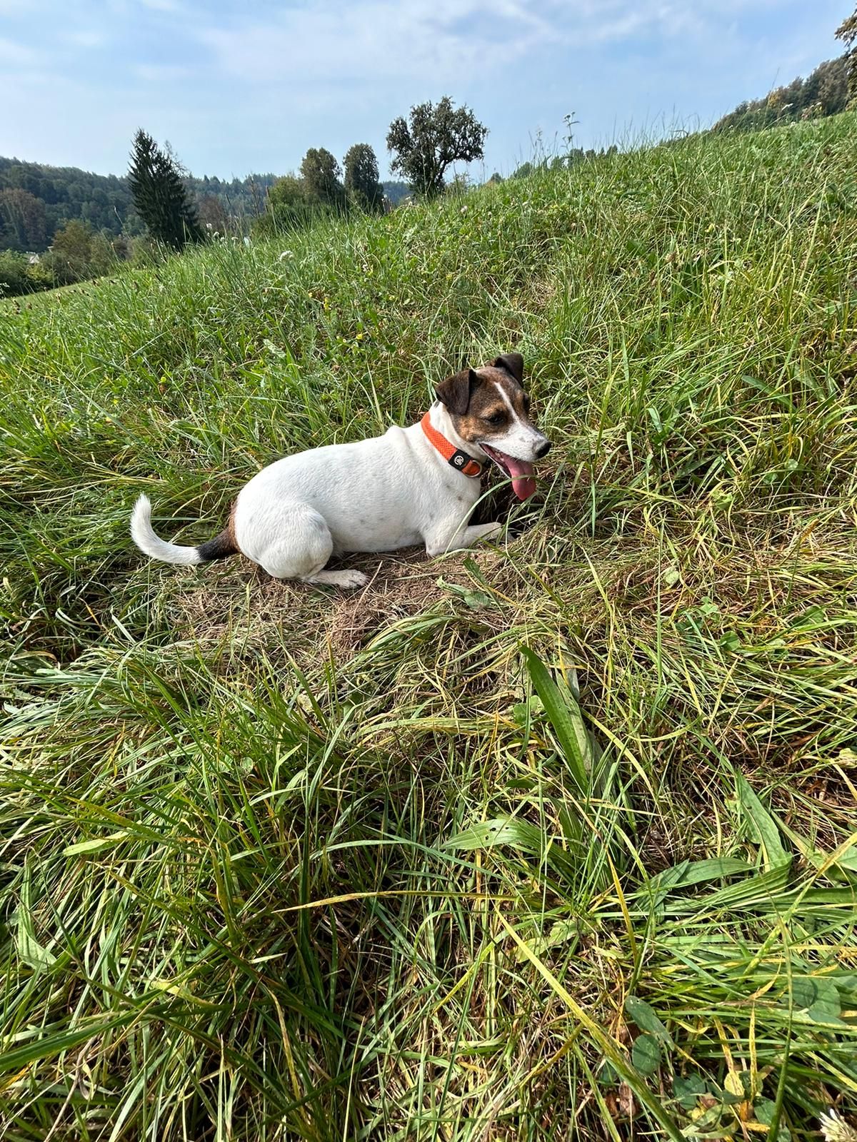 Fanny - Grübl 6, Vordernberg