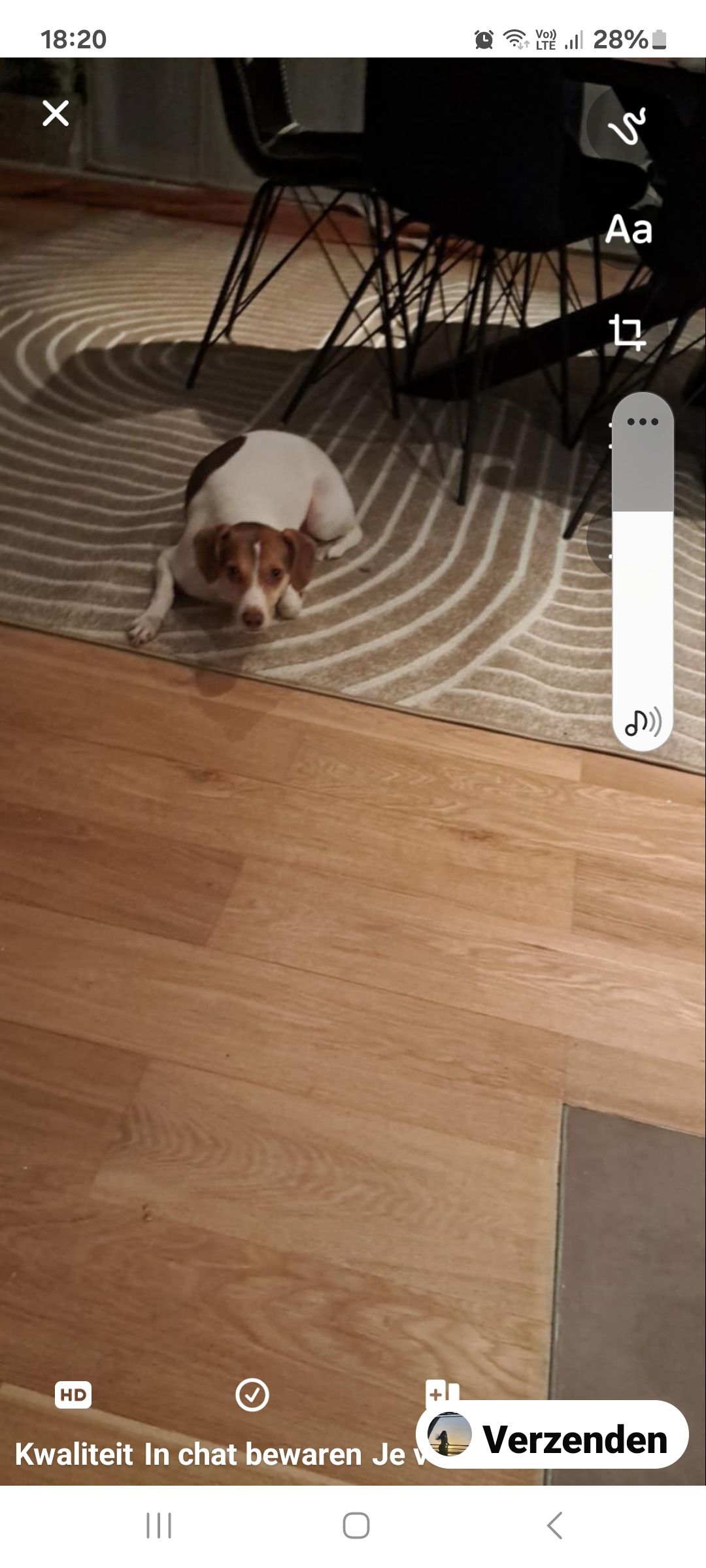 Yasro - Ster, Sint-Niklaas