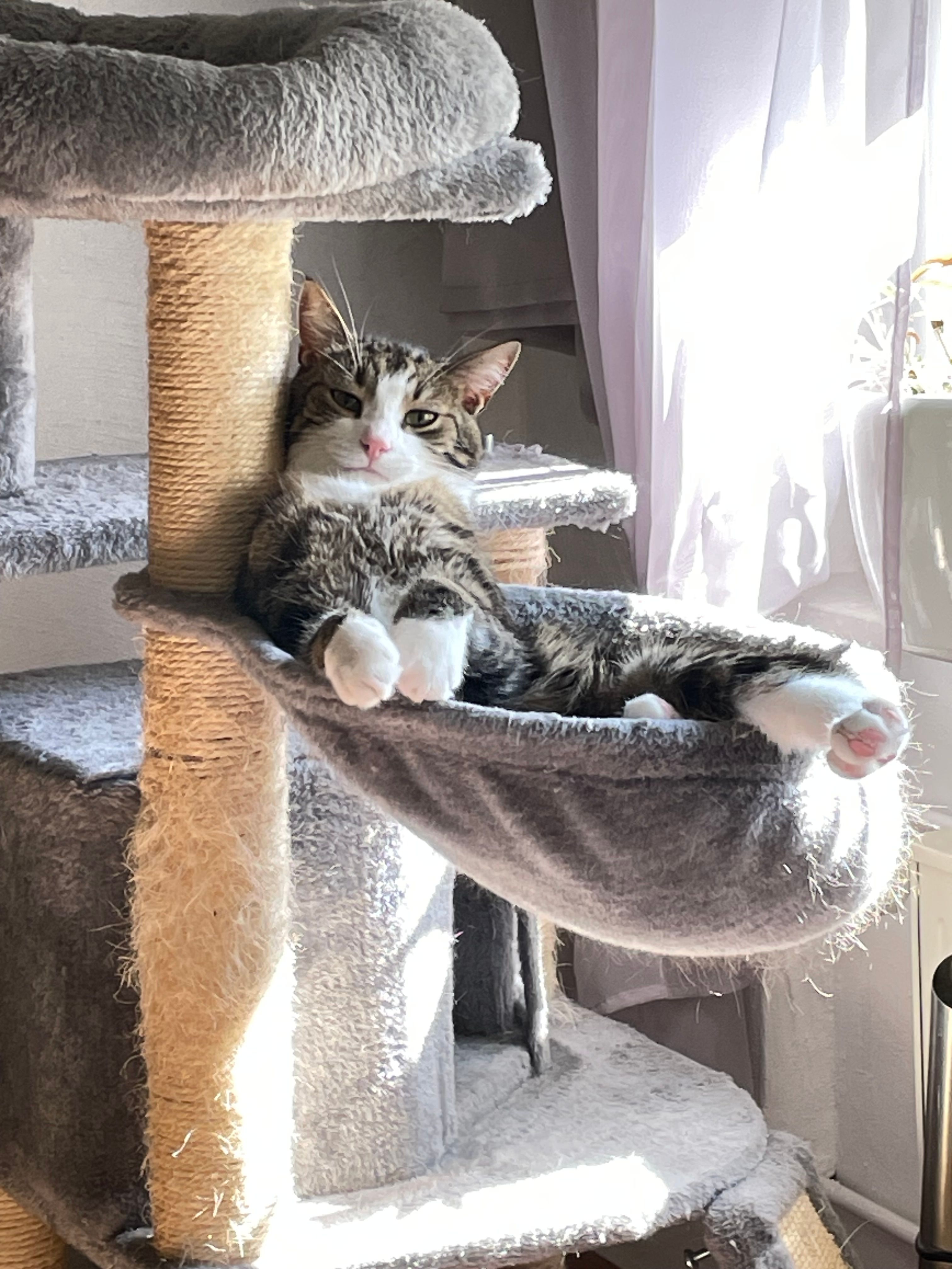 Mike  - Brunnenstraße, Kaisersesch