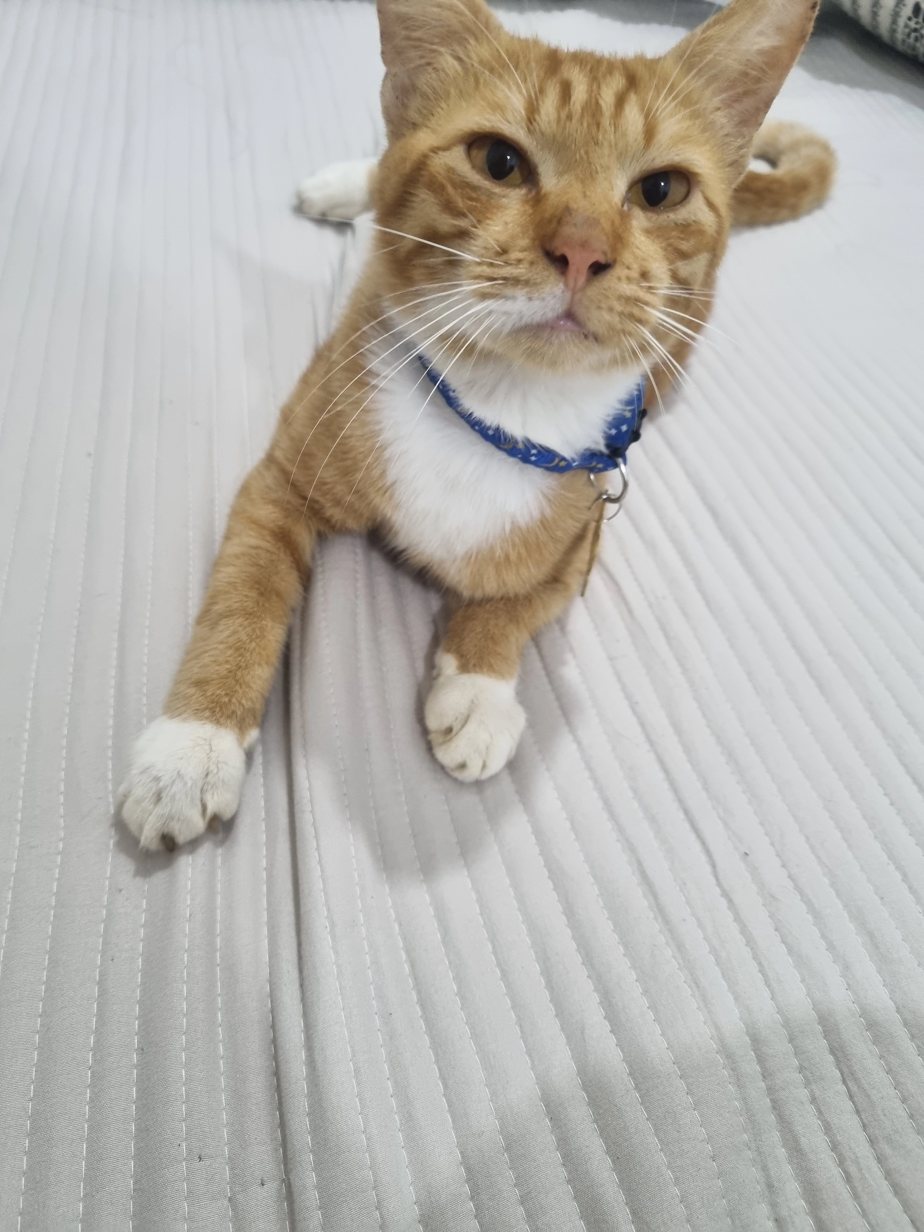 Stokin - Jalan PU 10/9, Petaling