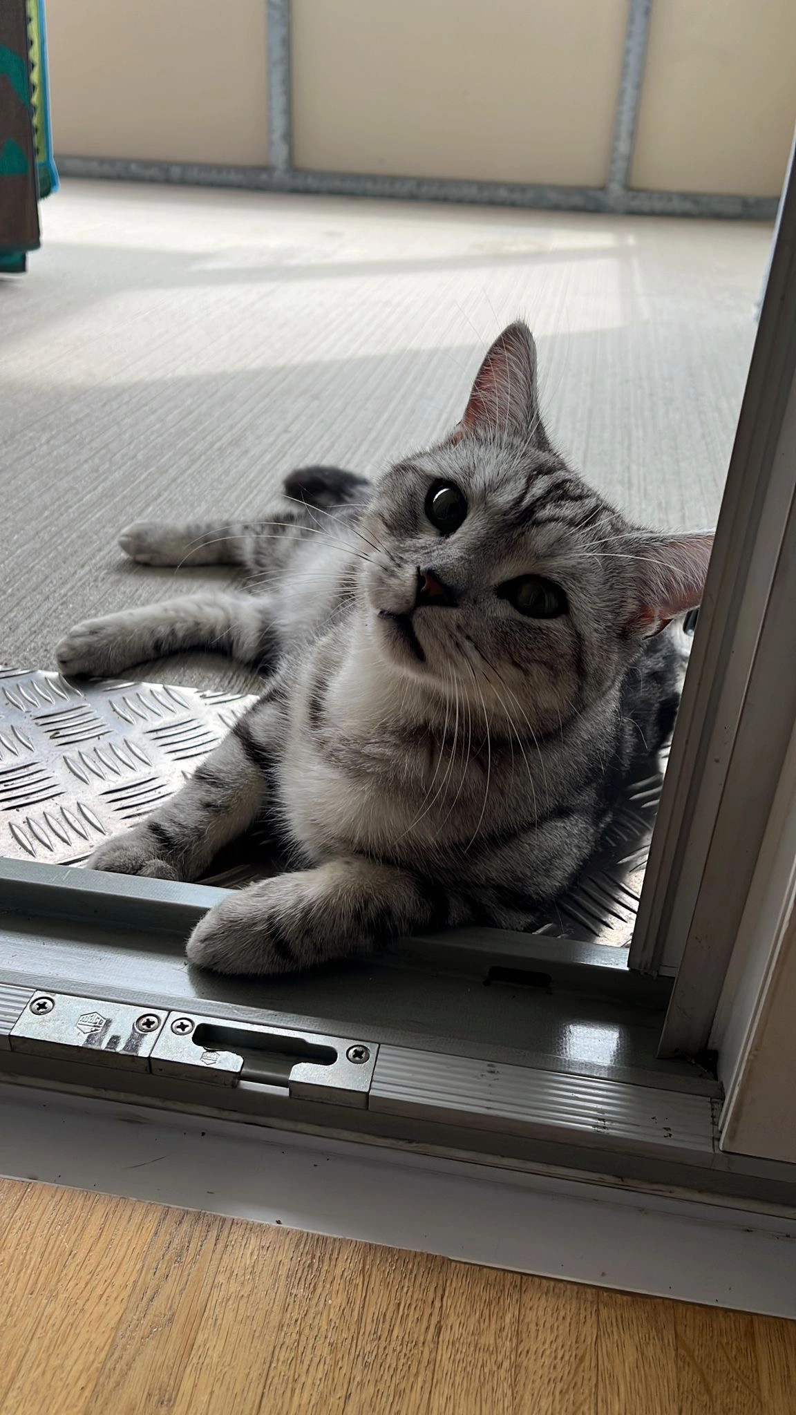 Coco - Harter Süd Straße, Raaba-Grambach