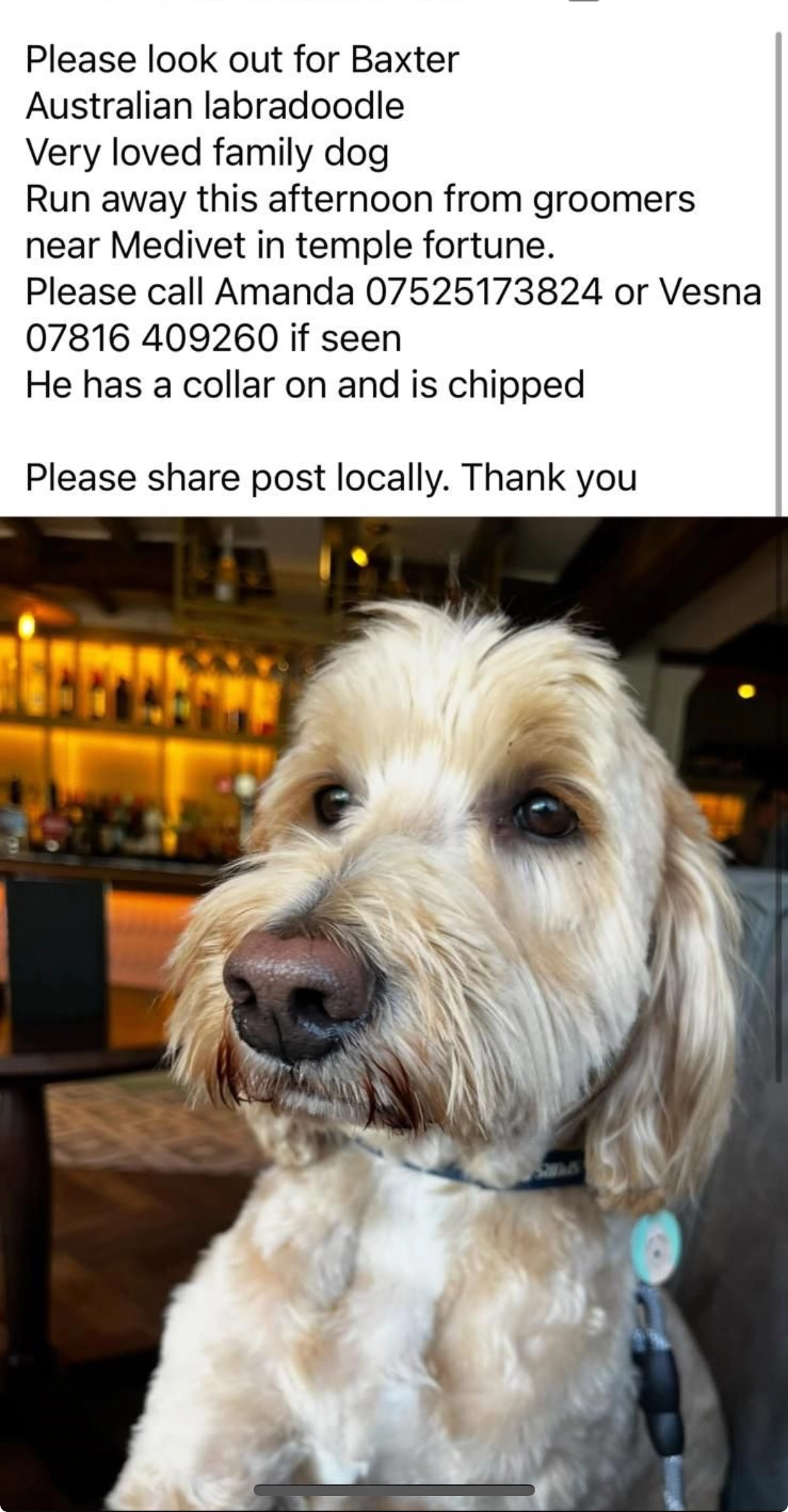 Buxter - Finchley Road, London