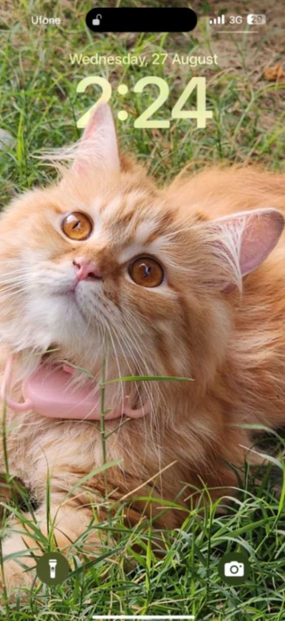 Boba - Khayaban-e-Shujaat, Karachi Division