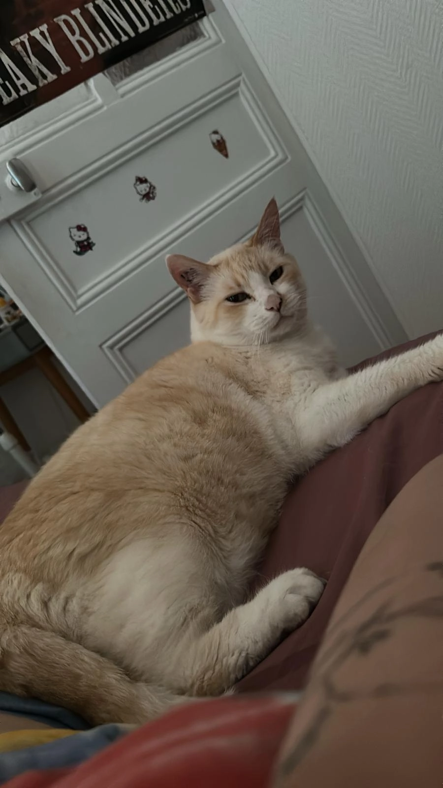 Flocon - 66 Rue Nationale, Cergy