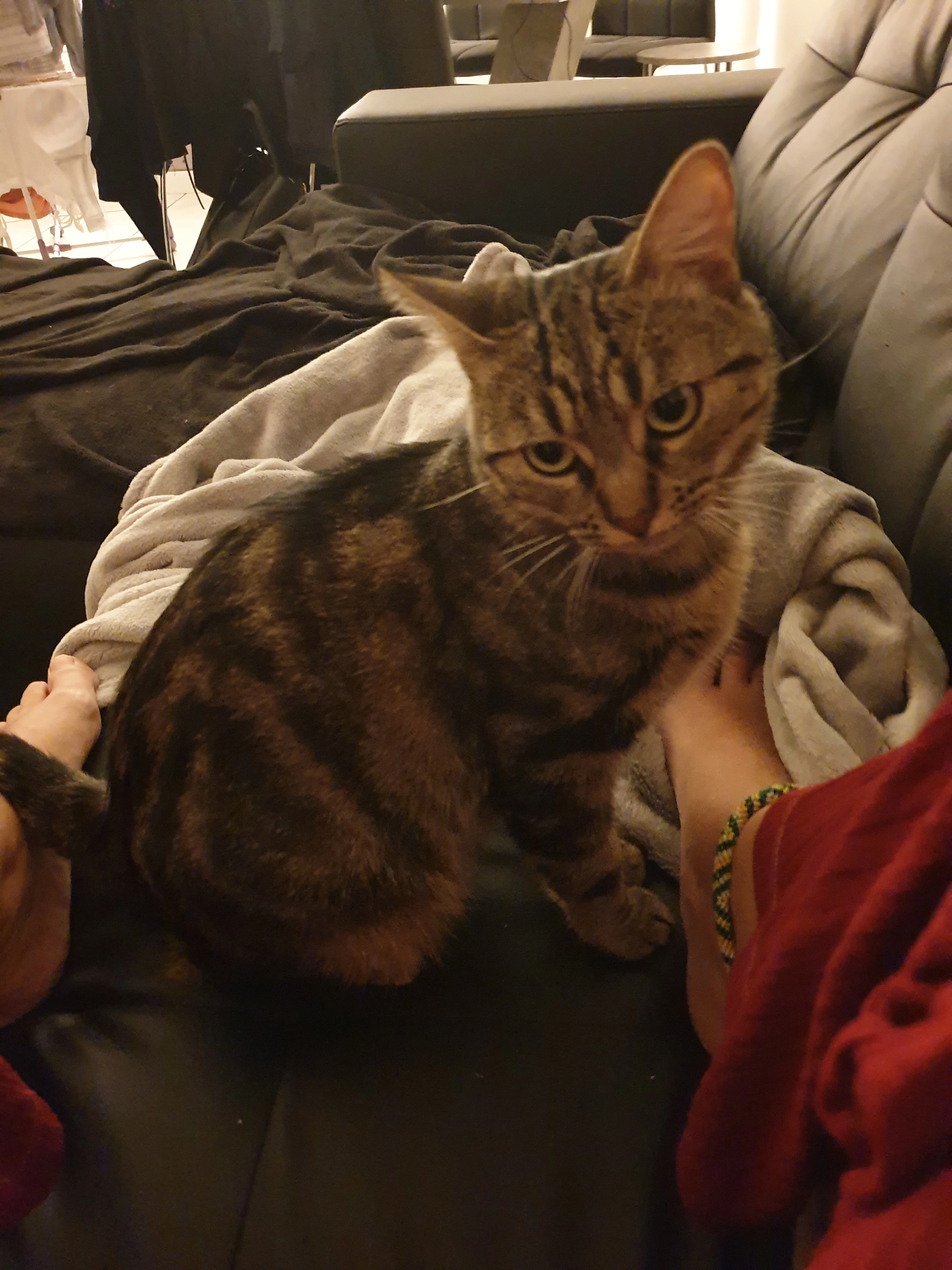 Pixel - Rue Florentin Gaudefroy, Chambly