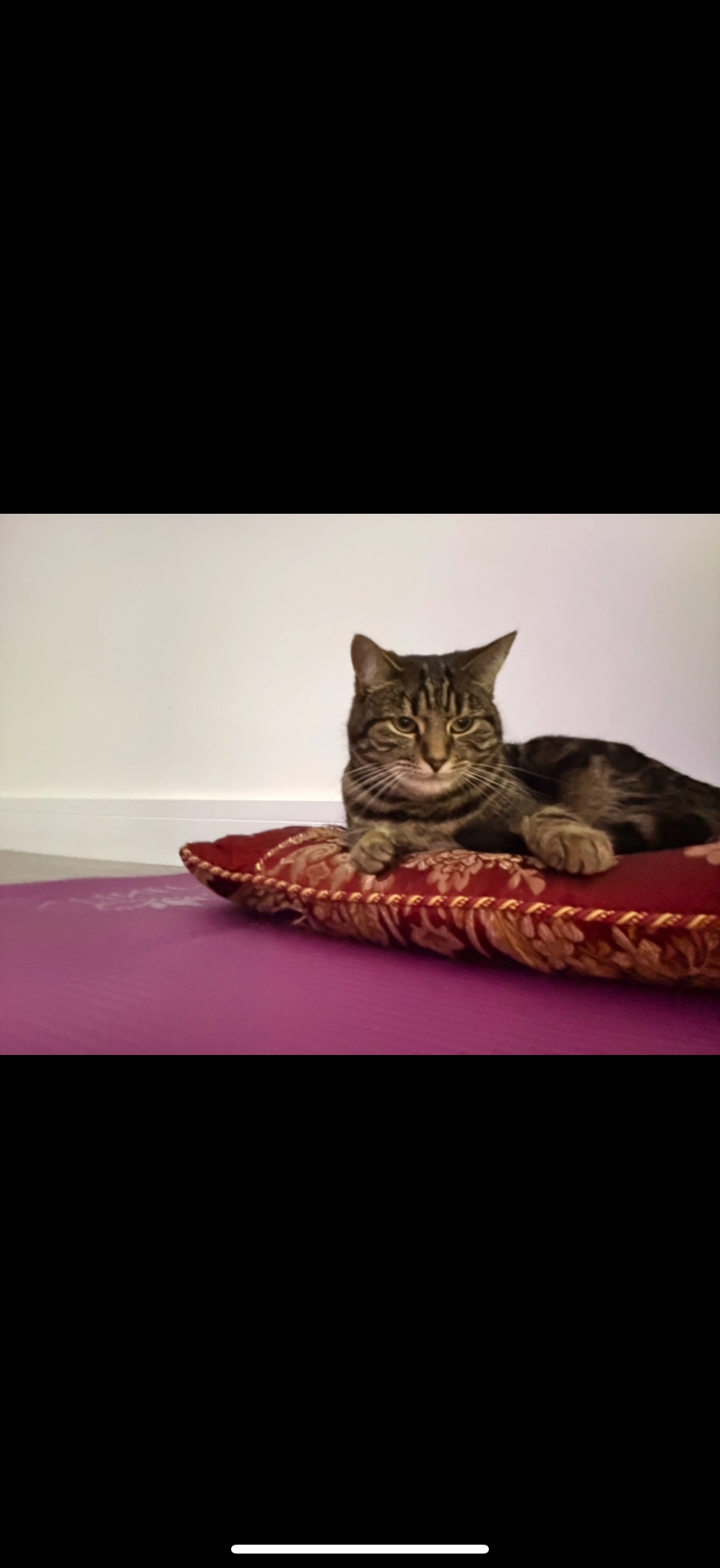 Nora - Mewburn Road, Banbury