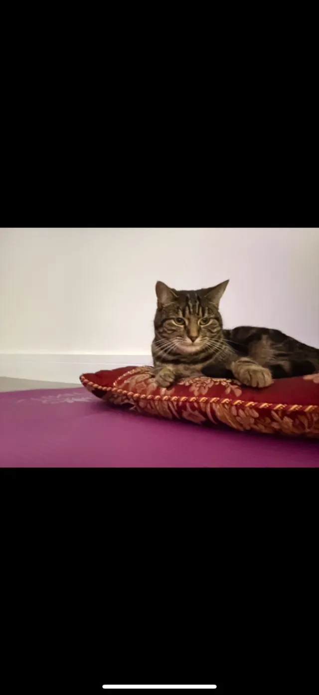 Nora - Mewburn Road, Banbury