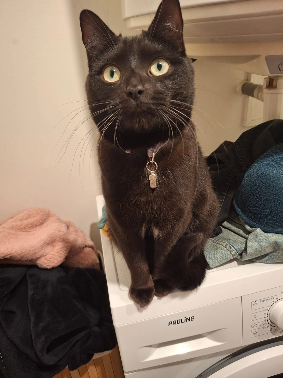 Carti - 505 Avenue du Coteau, Bonneville