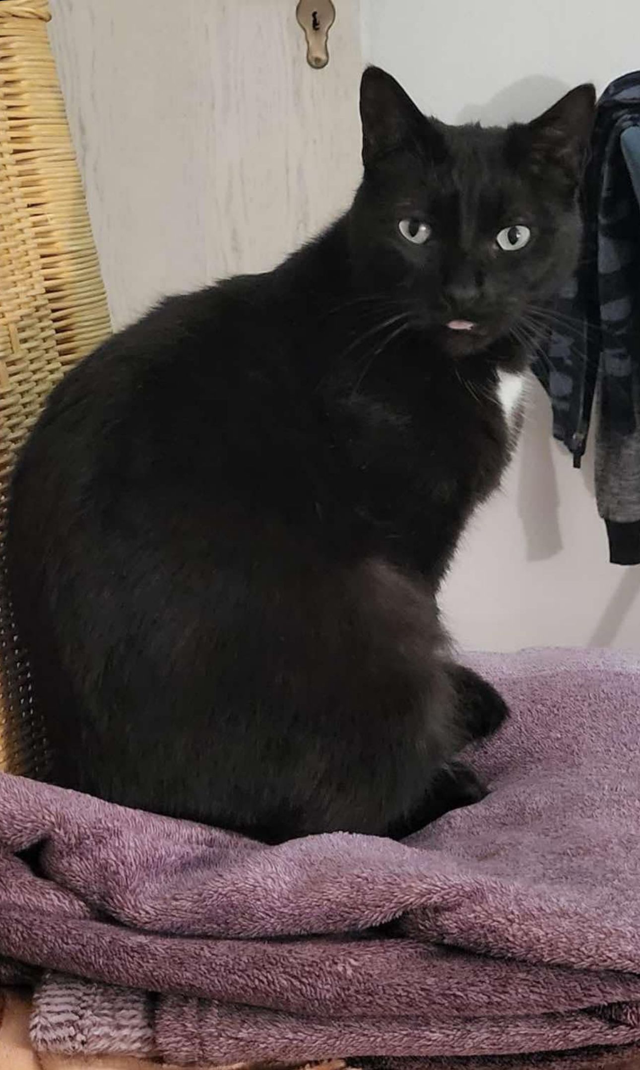 Mohr - Neuherbrumer Straße, Papenburg