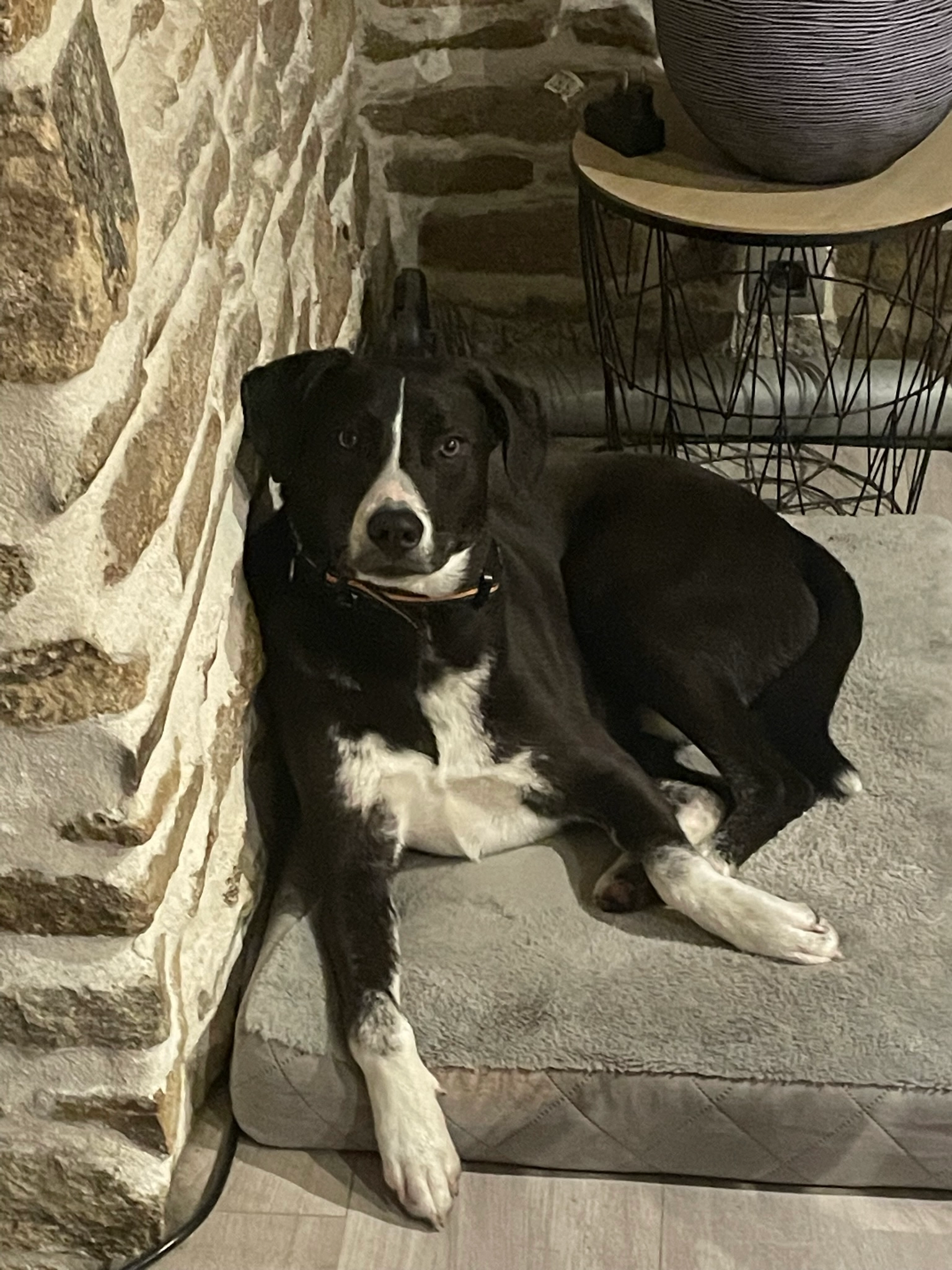 Chaussette - Rue Saint-Patern, Vannes