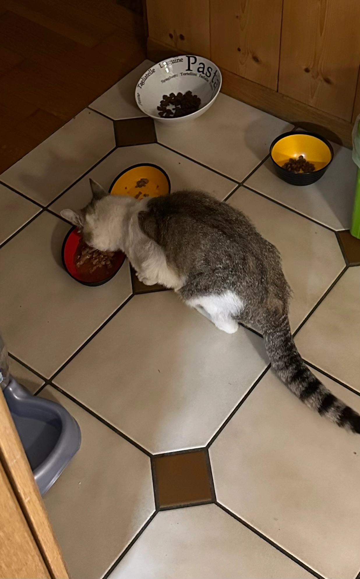 Pamuk - Ofenhausgässli 35, Murten