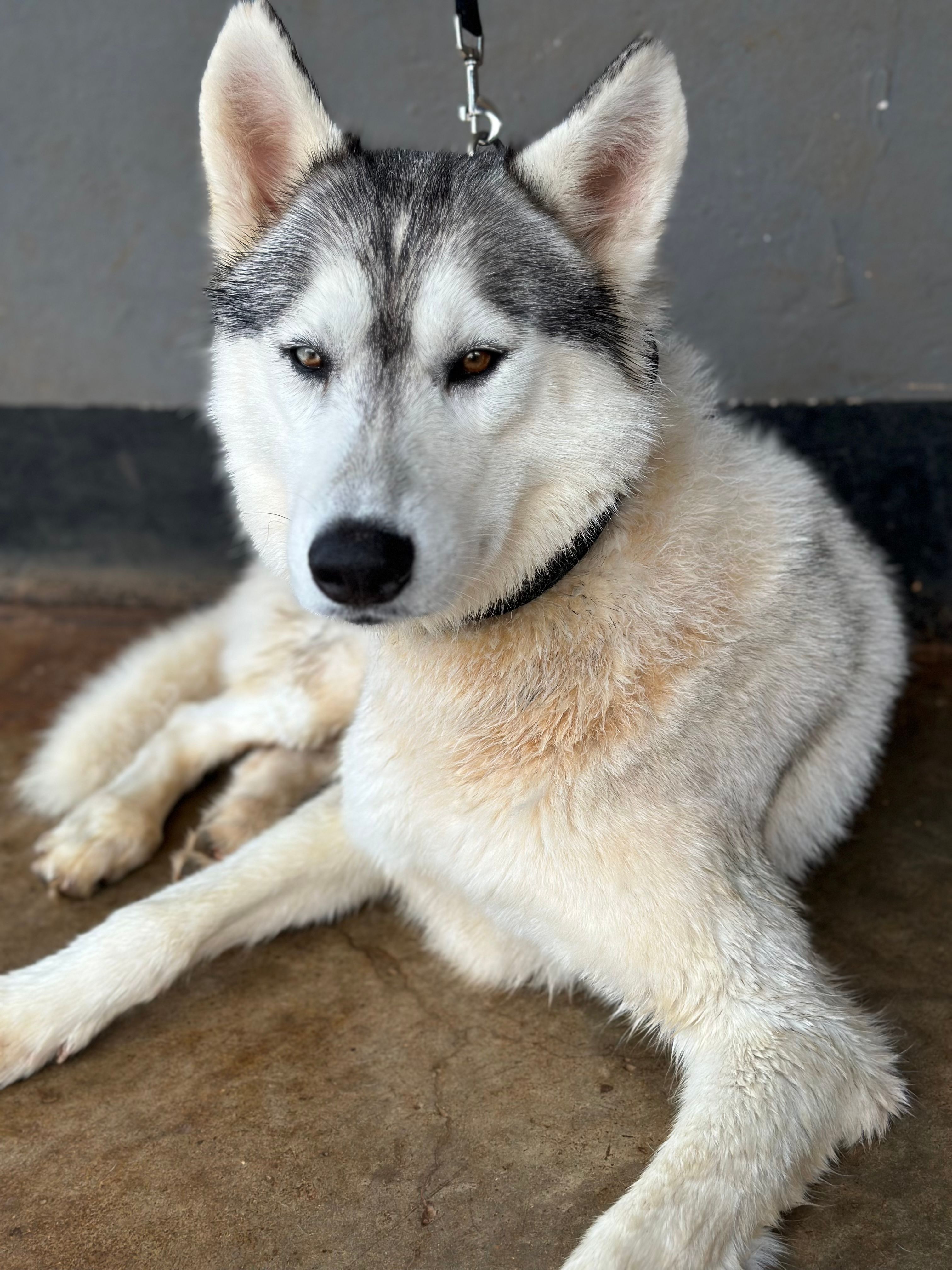 Broly - Lugar Areas-Bordons, Sanxenxo