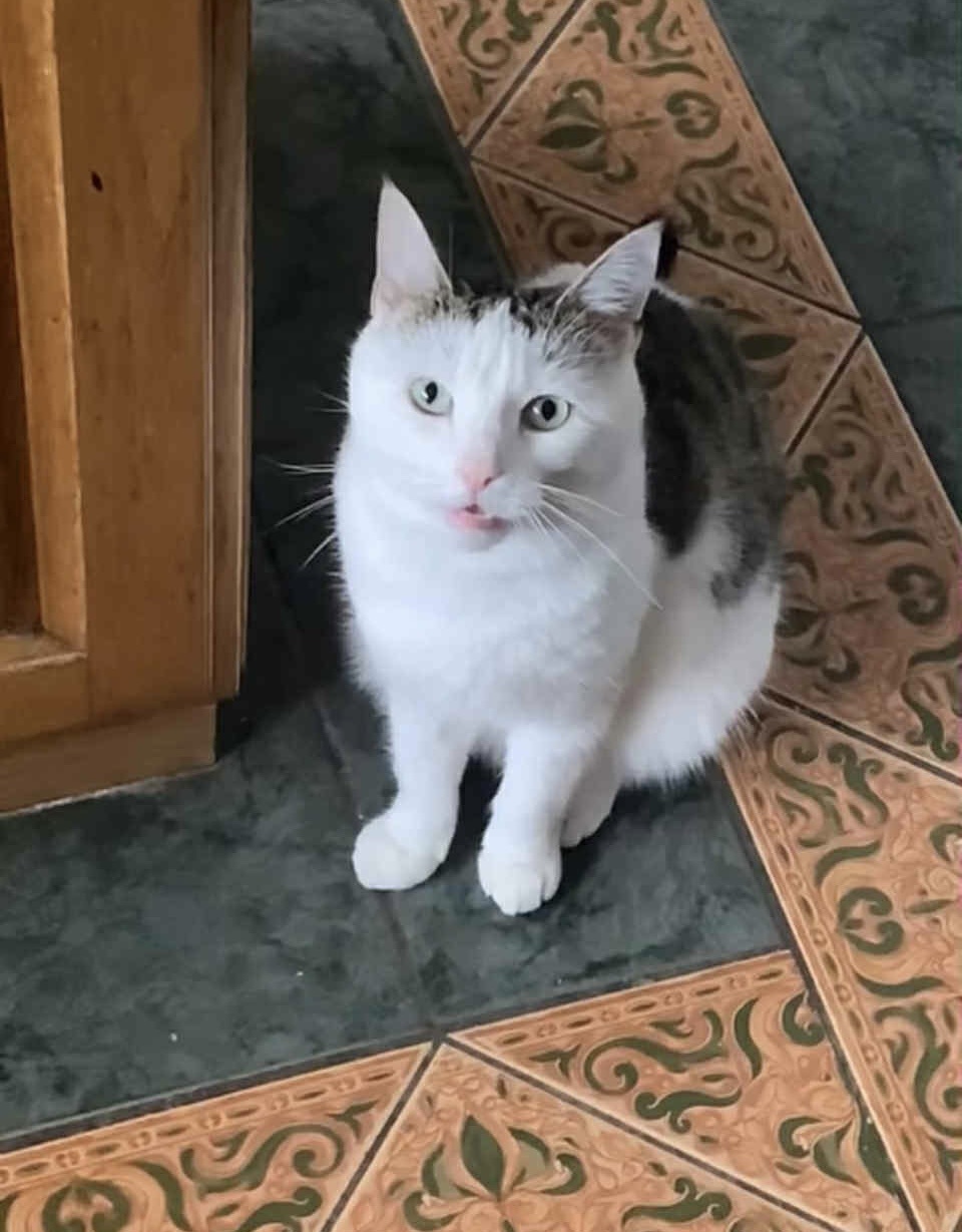 Glacier - An Cimín Mór, Galway