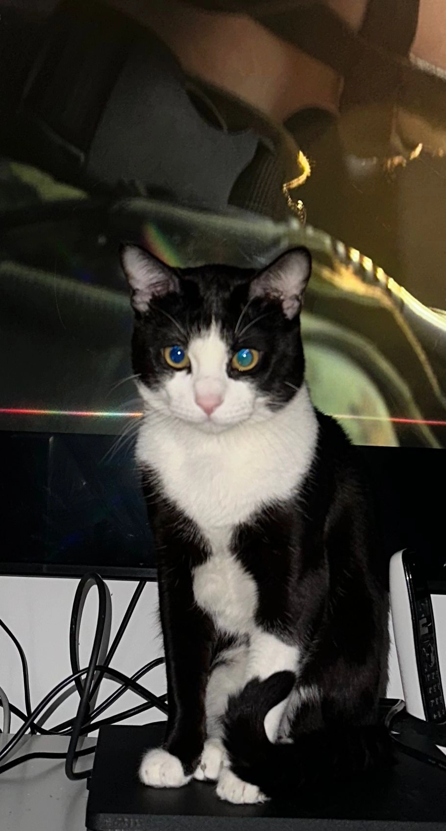 Junior  - Passeig de Fabra i Puig 320, Barcelona