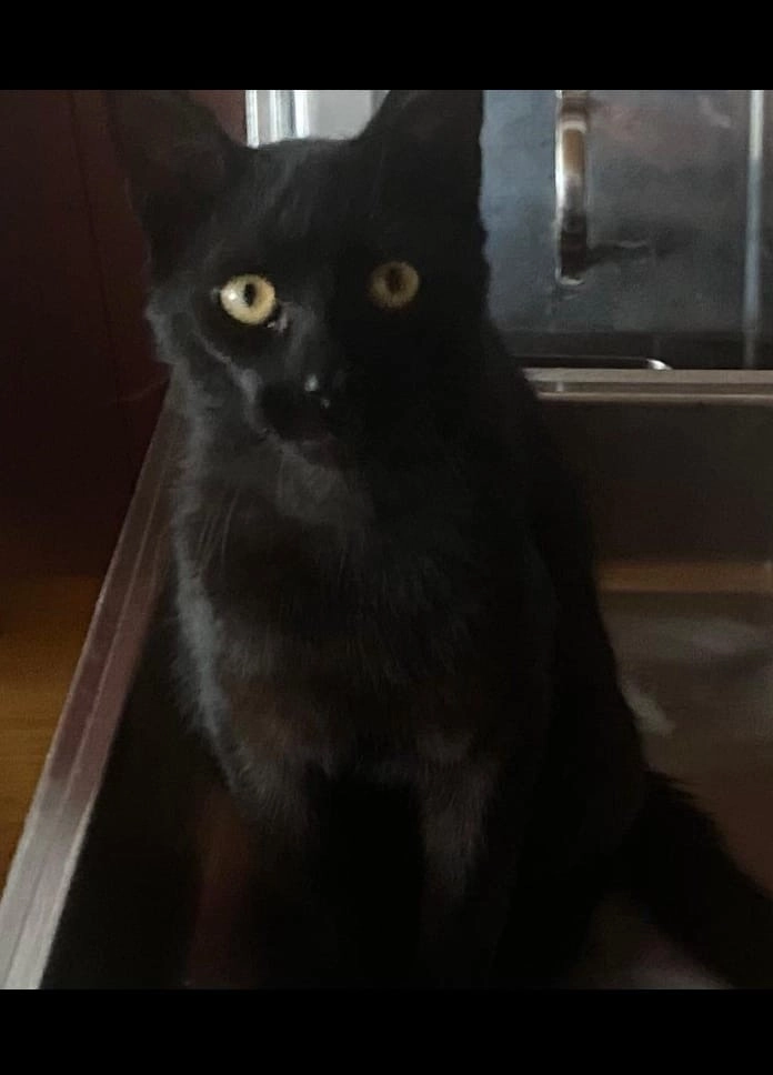 Stanislaus - Breite Straße, Südharz