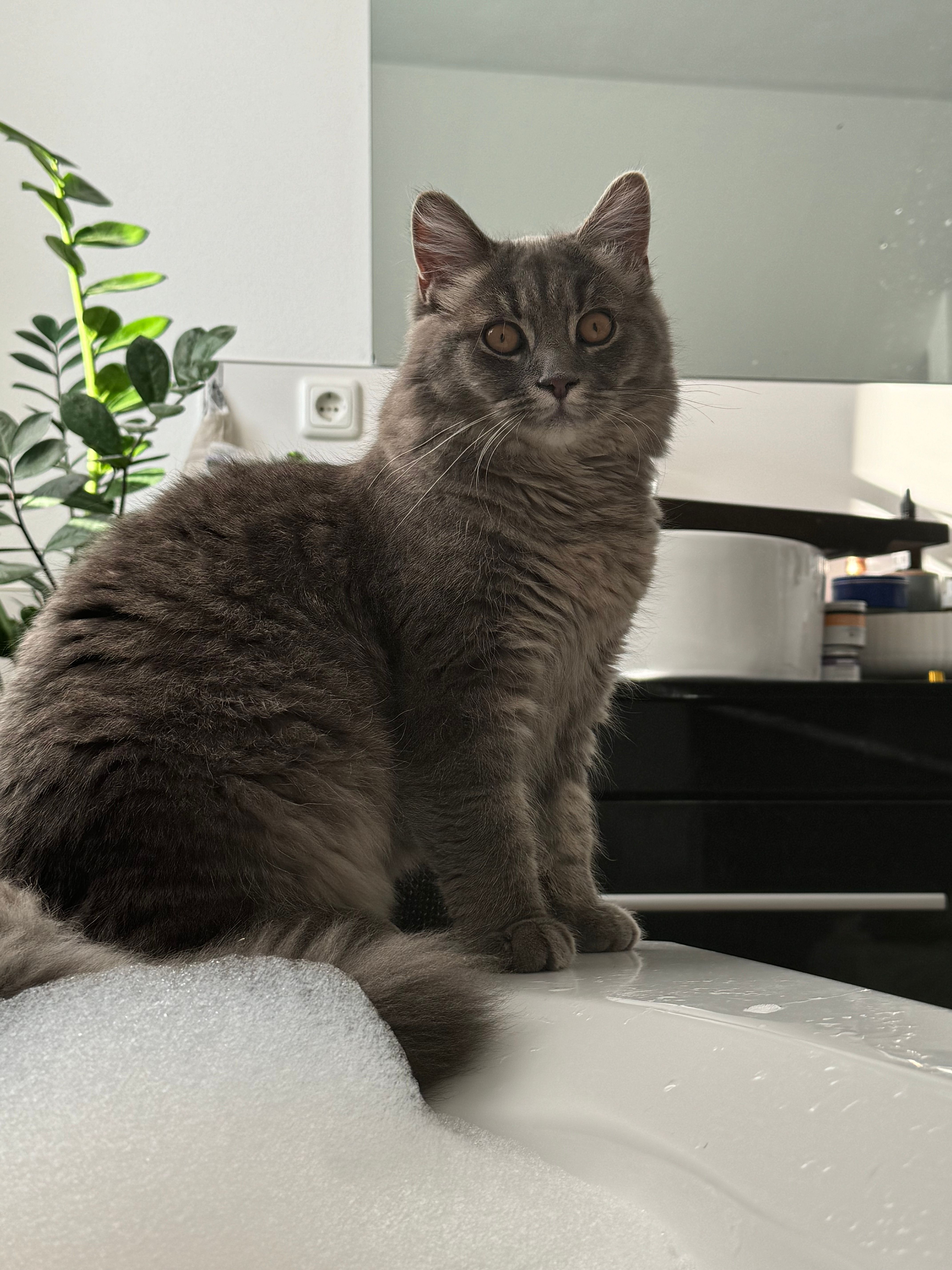 Jules - Fritz-Reuter-Straße, Greifswald