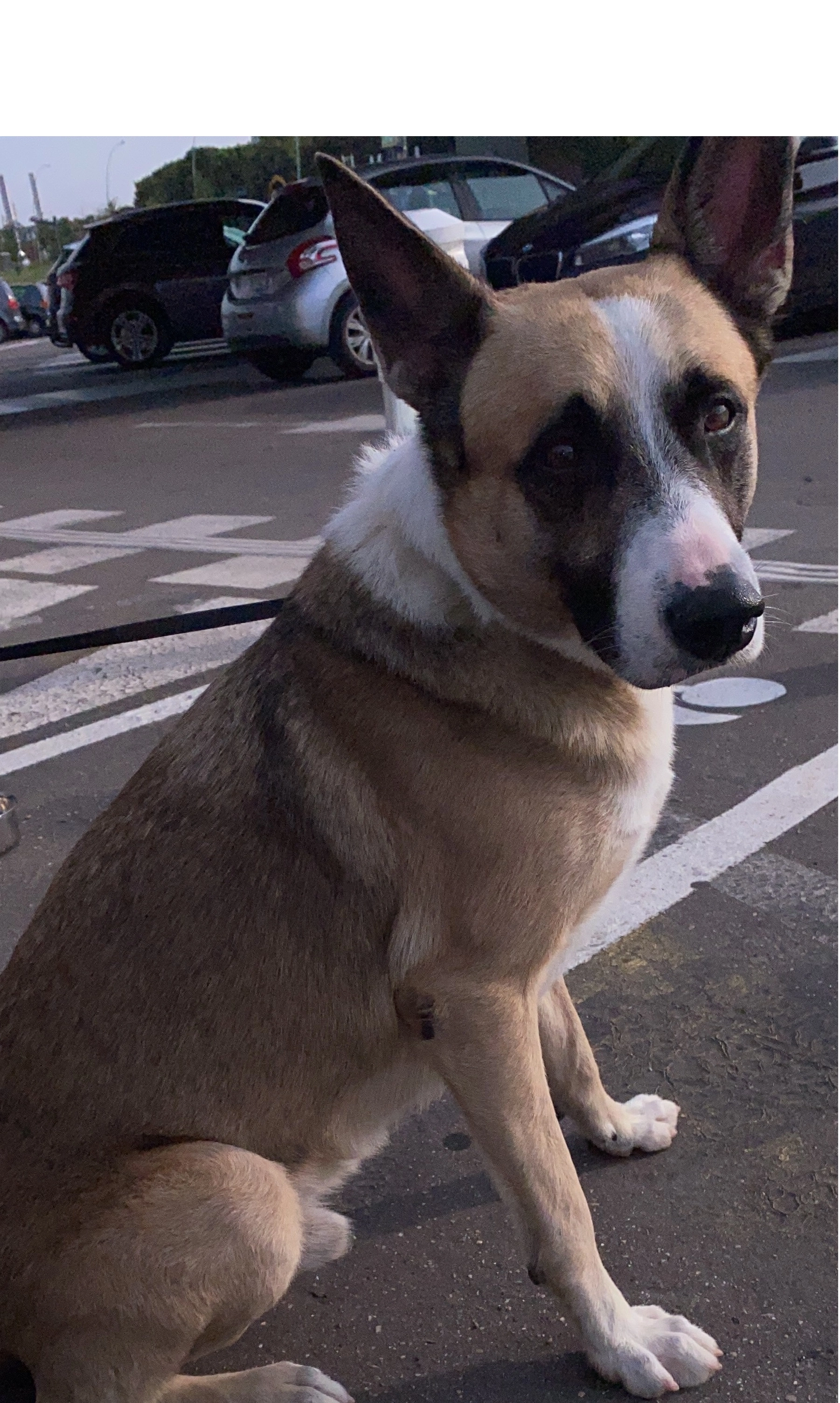 SPOCK - 49 Avenue Liégeard, Livry-Gargan