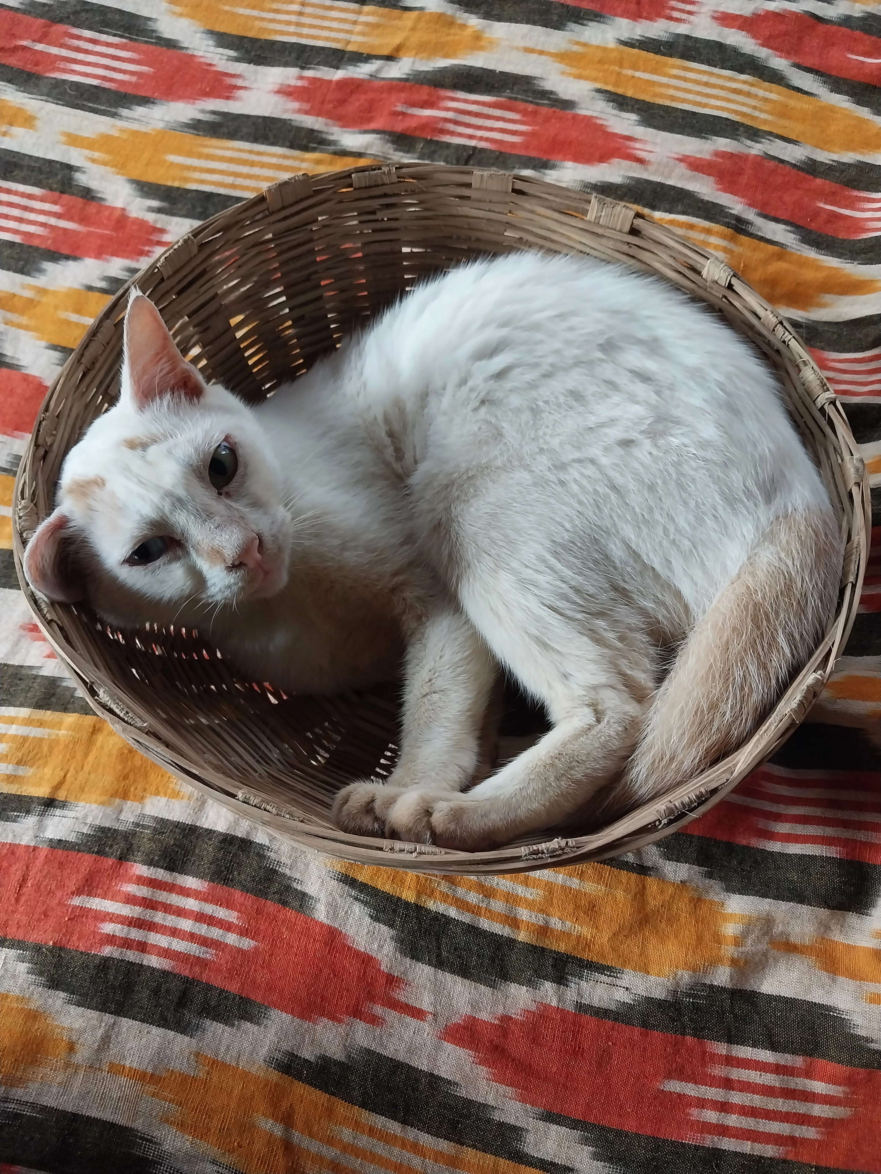 Gudum - Grand Trunk Road, Howrah