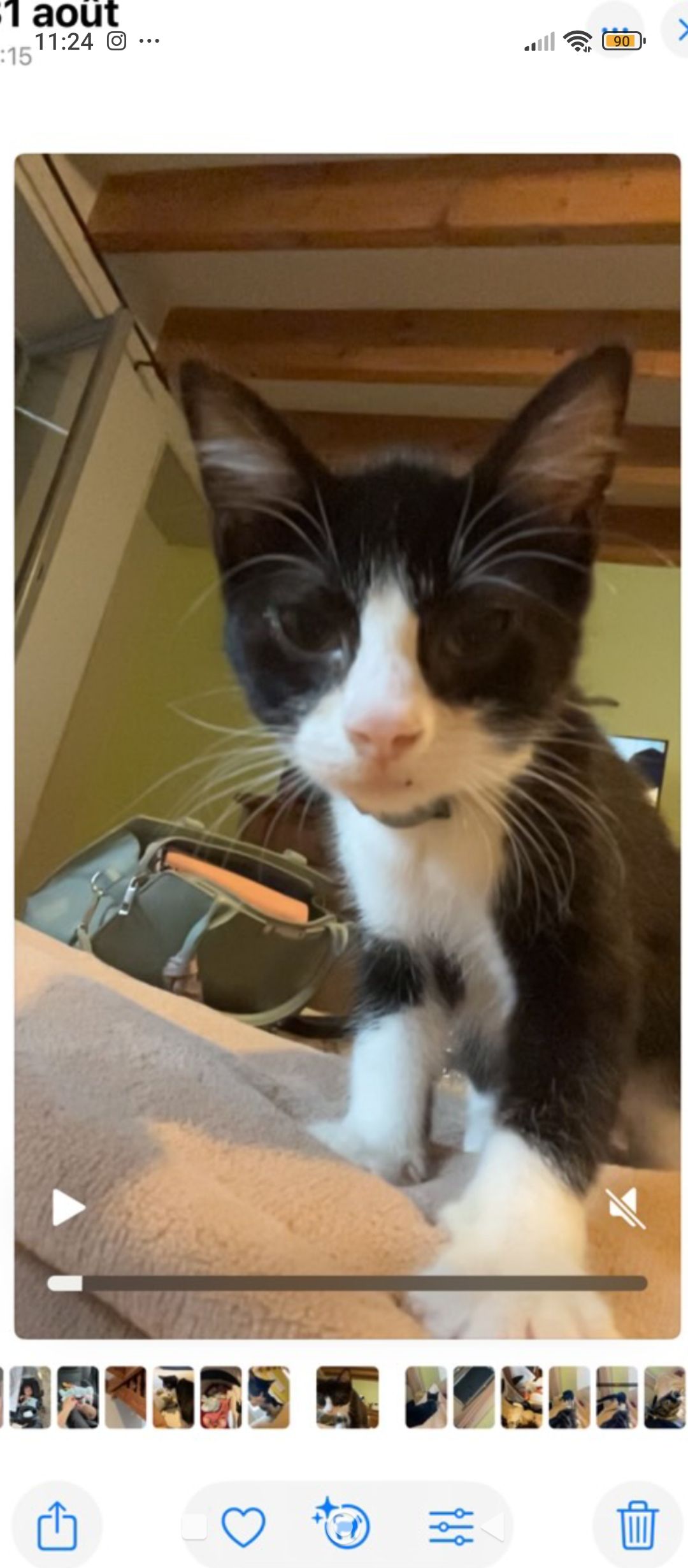 Lulu  - Rue Du Puits Du Prêche, Barbezieux-Saint-Hilaire