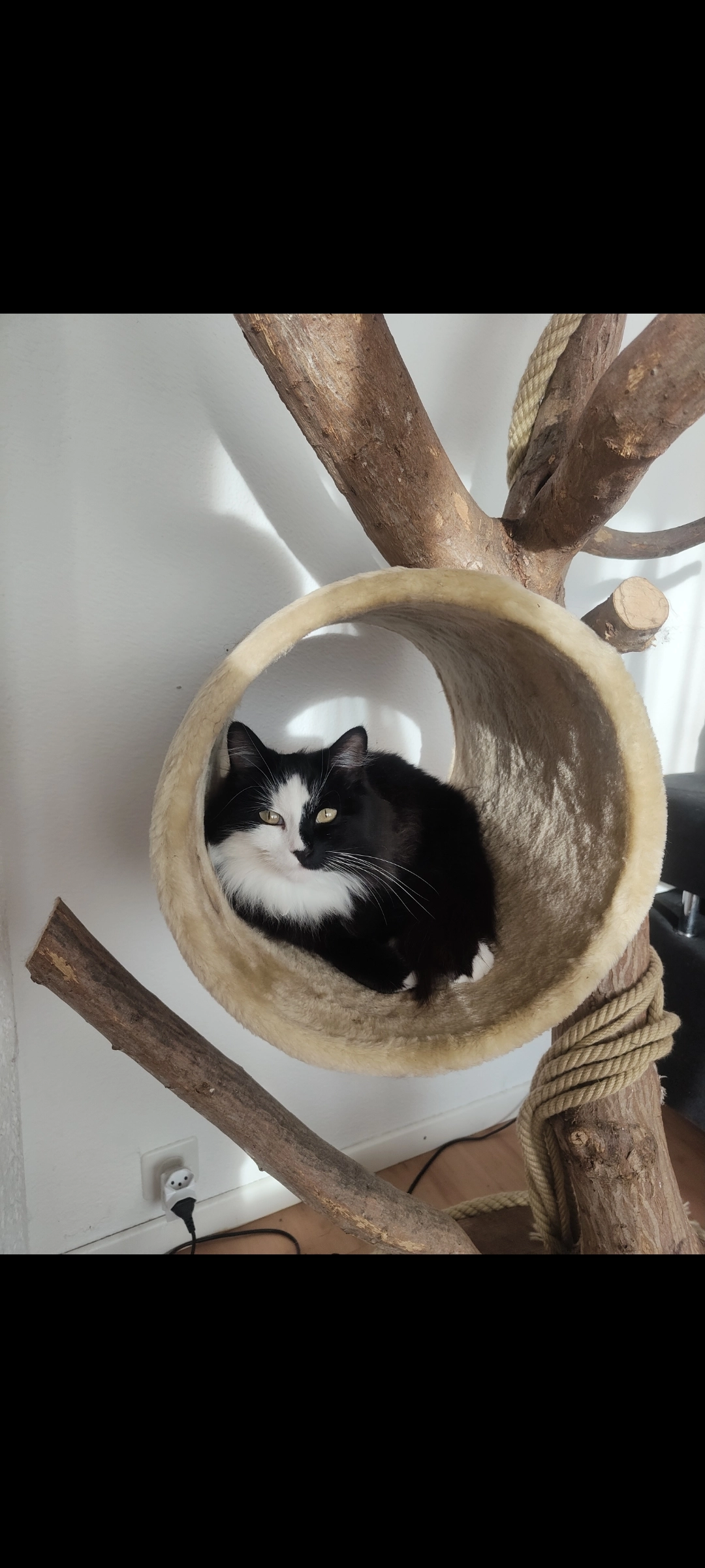 angi - Hausmatten, Reitnau