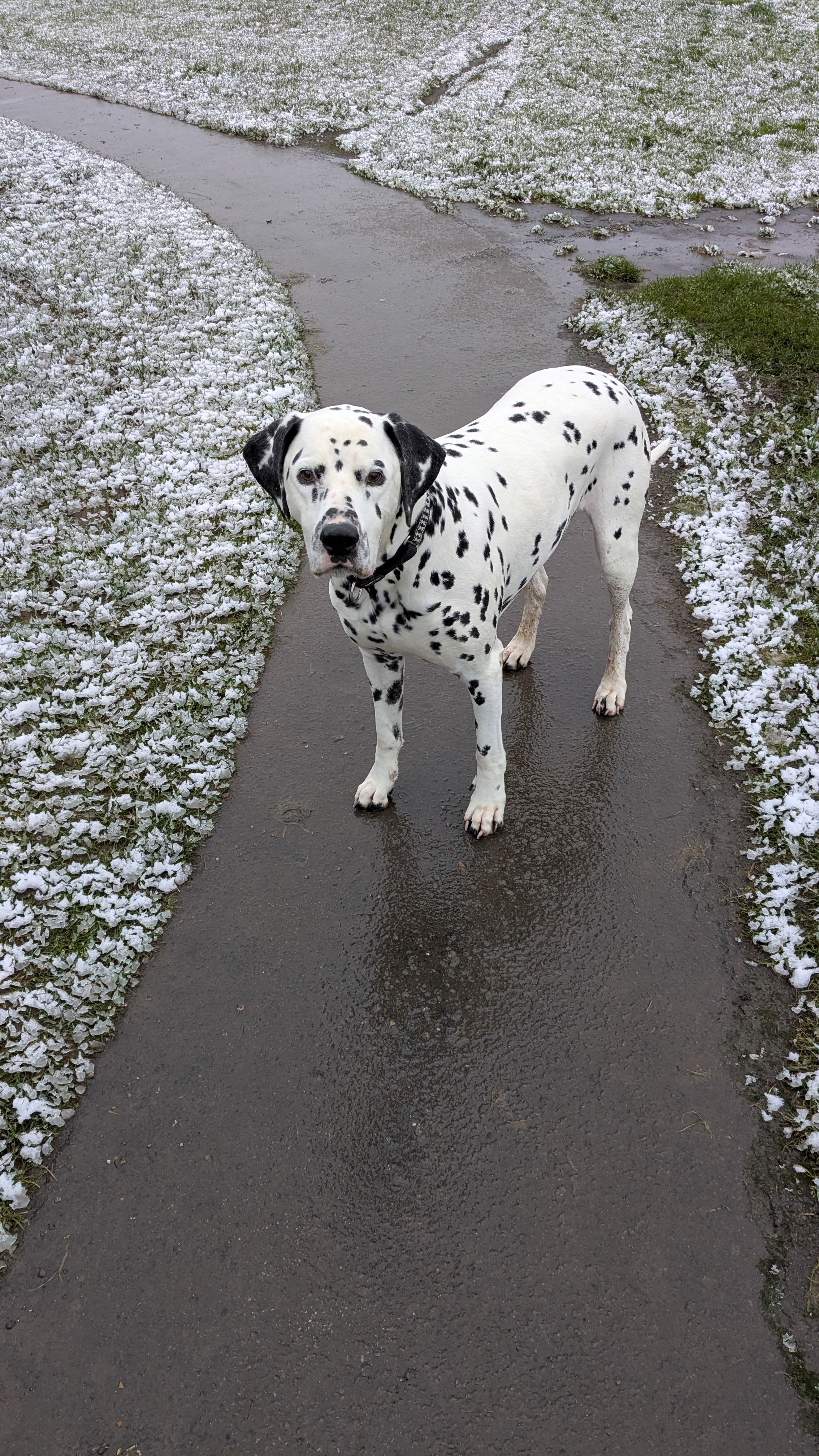 Arthur  - Nelson Street, Maryport