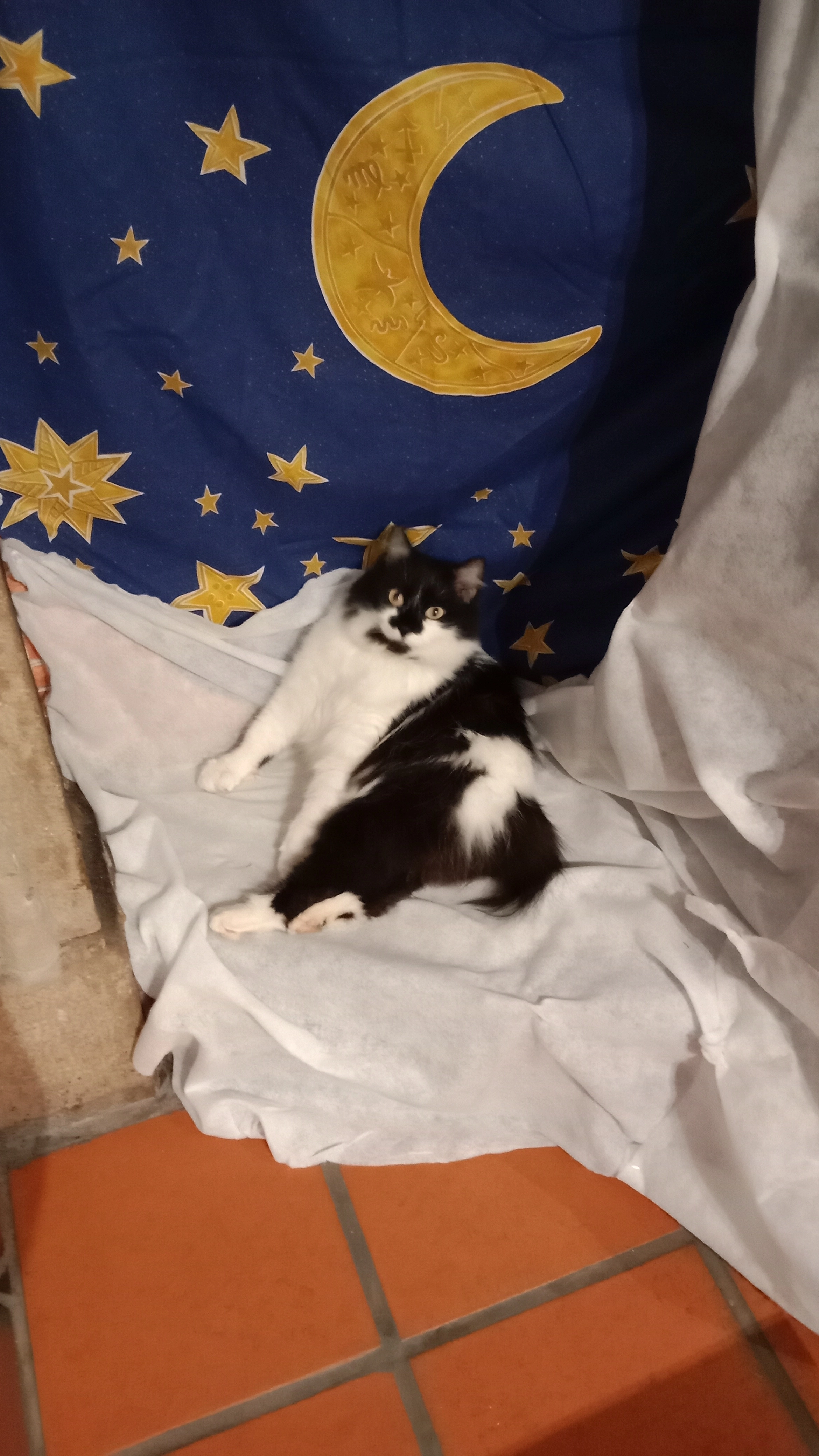 Haricotte - 6 Chemin des Dringues, Mur-sur-Allier