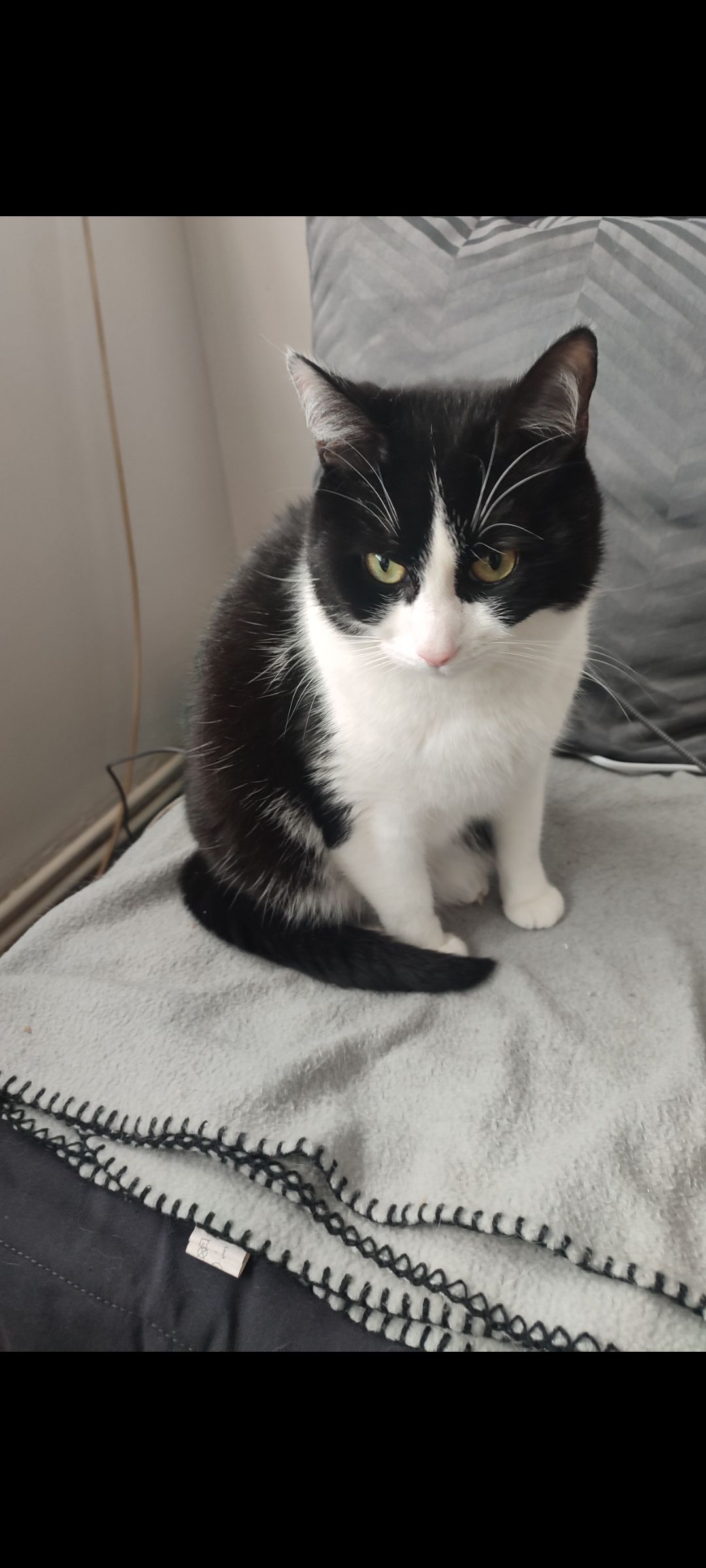 Taïga  - Rue de l'Église, Beugnies