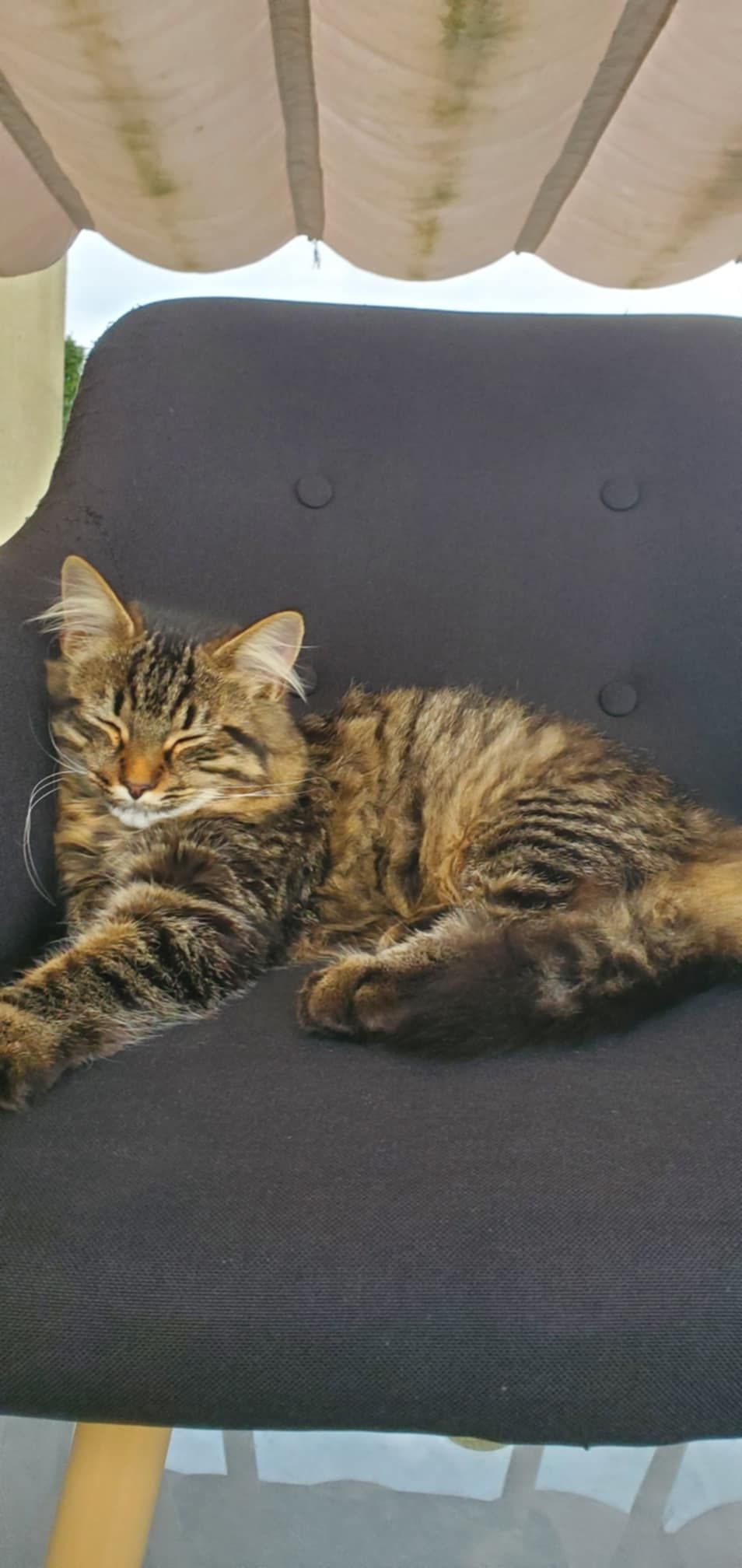 Stich - Rue De La Libération - La Touche, Erbray