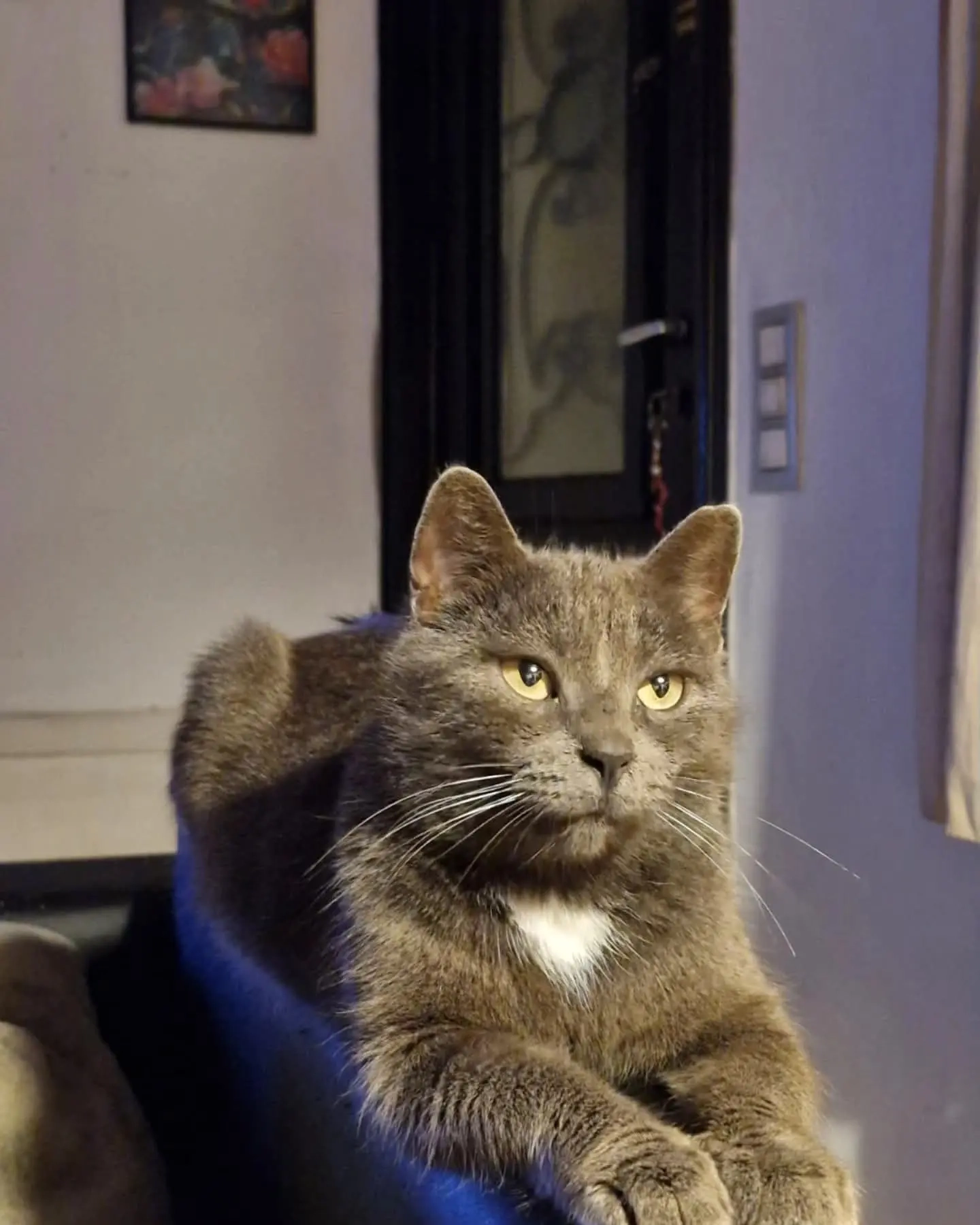 Luna.ze is 8jaar - Einestraat 32, Oudenaarde