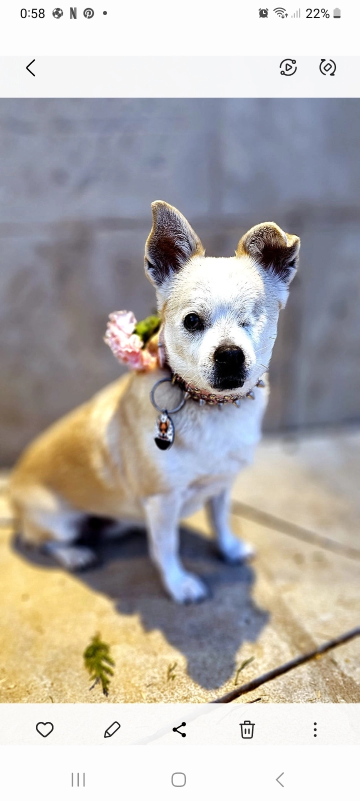 Yuka - Passeig Del Vint-I-Dos De Juliol, Terrassa