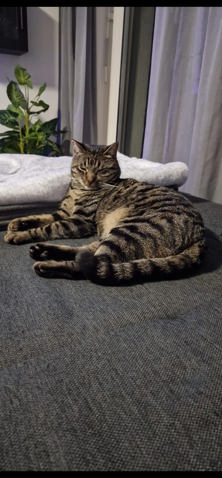 Oliver - Grünbergstrasse, Chur