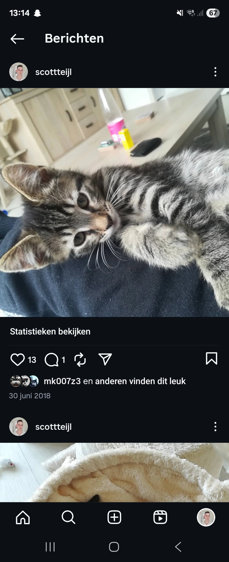 Djiba - Reiger, Oud-Beijerland